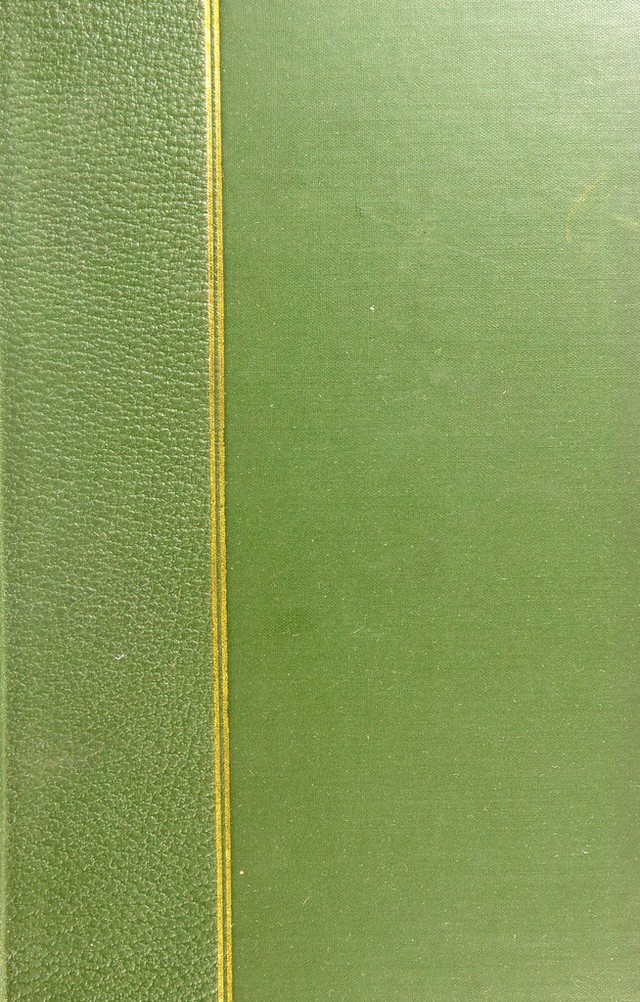digitised image 1
