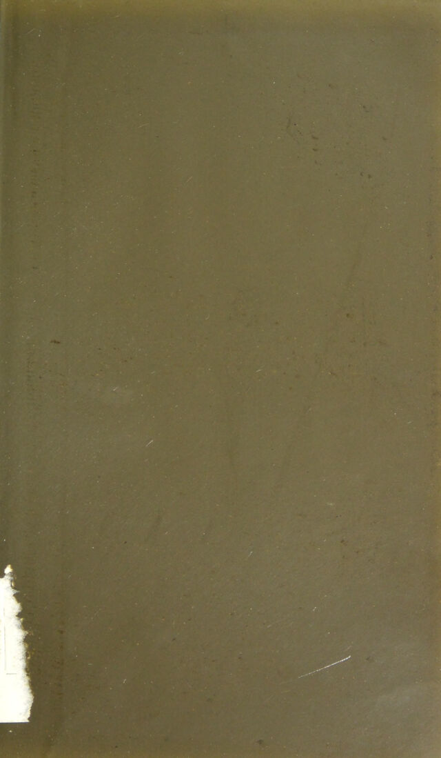 digitised image 3