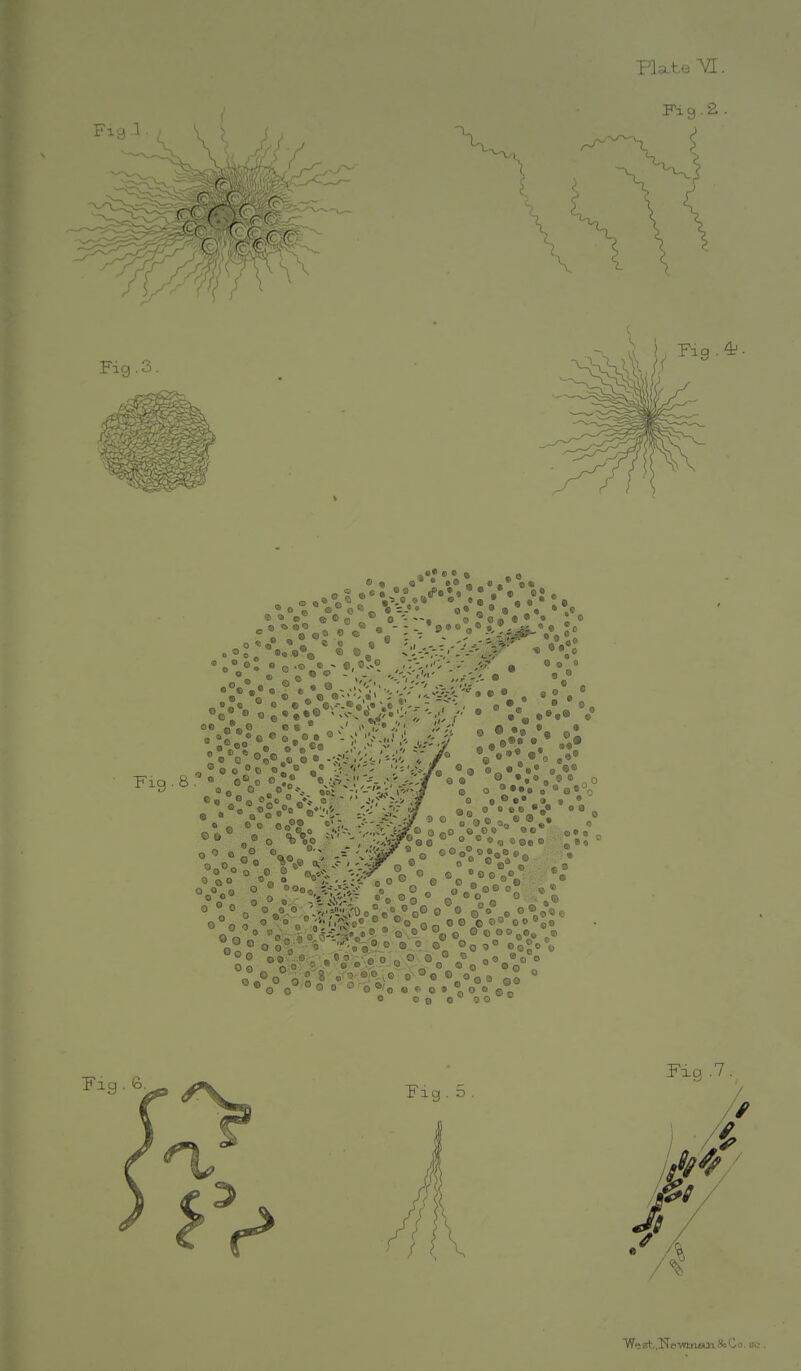 PUteVT. Fig.2- ■W-at.Ne-wmijai&Co