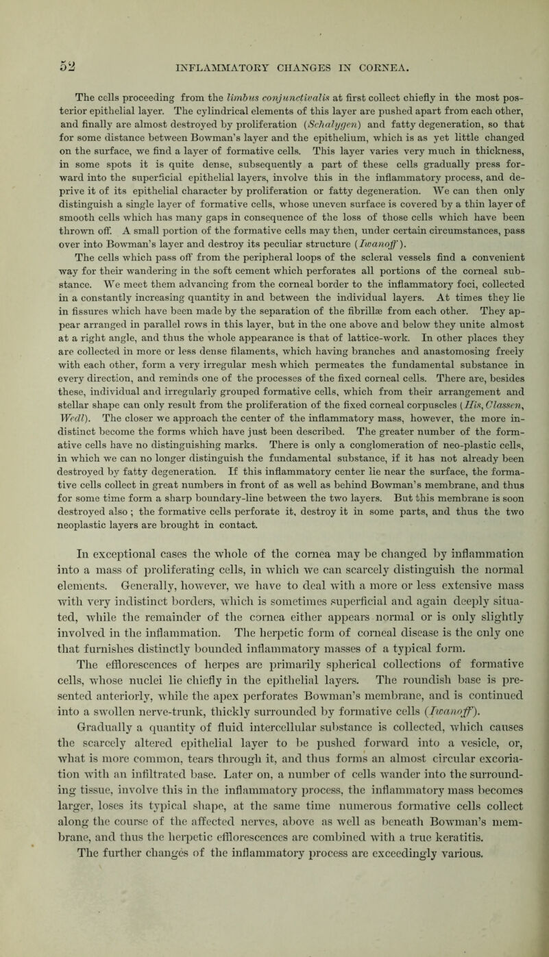 The cells proceeding from the limbus conjunctivalis at first collect chiefly in the most pos- terior epithelial layer. The cylindrical elements of this layer are pushed apart from each other, and finally are almost destroyed by proliferation (Schalygen) and fatty degeneration, so that for some distance between Bowman’s layer and the epithelium, which is as yet little changed on the surface, we find a layer of formative cells. This layer varies very much in thickness, in some spots it is quite dense, subsequently a part of these cells gradually press for- ward into the superficial epithelial layers, involve this in the inflammatory process, and de- prive it of its epithelial character by proliferation or fatty degeneration. We can then only distinguish a single layer of formative cells, whose uneven surface is covered by a thin layer of smooth cells which has many gaps in consequence of the loss of those cells which have been thrown off. A small portion of the formative cells may then, under certain circumstances, pass over into Bowman’s layer and destroy its peculiar structure (Iwanoff). The cells which pass off from the peripheral loops of the scleral vessels find a convenient way for their wandering in the soft cement which perforates all portions of the corneal sub- stance. We meet them advancing from the corneal border to the inflammatory foci, collected in a constantly increasing quantity in and between the individual layers. At times they lie in fissures which have been made by the separation of the fibrillae from each other. They ap- pear arranged in parallel rows in this layer, but in the one above and below they unite almost at a right angle, and thus the whole appearance is that of lattice-work. In other places they are collected in more or less dense filaments, which having branches and anastomosing freely with each other, form a very irregular mesh which permeates the fundamental substance in every direction, and reminds one of the processes of the fixed corneal cells. There are, besides these, individual and irregularly grouped formative cells, which from their arrangement and stellar shape can only result from the proliferation of the fixed corneal corpuscles (His, Classen, Wedl). The closer we approach the center of the inflammatory mass, however, the more in- distinct become the forms which have just been described. The greater number of the form- ative cells have no distinguishing marks. There is only a conglomeration of neo-plastic cells, in which we can no longer distinguish the fundamental substance, if it has not already been destroyed by fatty degeneration. If this inflammatory center lie near the surface, the forma- tive cells collect in great numbers in front of as well as behind Bowman’s membrane, and thus for some time form a sharp boundary-line between the two layers. But this membrane is soon destroyed also ; the formative cells perforate it, destroy it in some parts, and thus the two neoplastic layers are brought in contact. In exceptional cases the whole of the cornea may be changed by inflammation into a mass of proliferating cells, in which we can scarcely distinguish the normal elements. Generally, however, we have to deal with a more or less extensive mass with very indistinct borders, which is sometimes superficial and again deeply situa- ted, while the remainder of the cornea either appears normal or is only slightly involved in the inflammation. The herpetic form of corneal disease is the only one that furnishes distinctly bounded inflammatory masses of a typical form. The efflorescences of herpes are primarily spherical collections of formative cells, whose nuclei lie chiefly in the epithelial layers. The roundish base is pre- sented anteriorly, while the apex perforates Bowman’s membrane, and is continued into a swollen nerve-trunk, thickly surrounded by formative cells {Iwanoff). Gradually a quantity of fluid intercellular substance is collected, which causes the scarcely altered epithelial layer to be pushed forward into a vesicle, or, what is more common, tears through it, and thus forms an almost circular excoria- tion with an infiltrated base. Later on, a number of cells wander into the surround- ing tissue, involve this in the inflammatory process, the inflammatory mass becomes larger, loses its typical shape, at the same time numerous formative cells collect along the course of the affected nerves, above as well as beneath Bowman’s mem- brane, and thus the herpetic efflorescences are combined with a true keratitis. The further changes of the inflammatory jirocess are exceedingly various.
