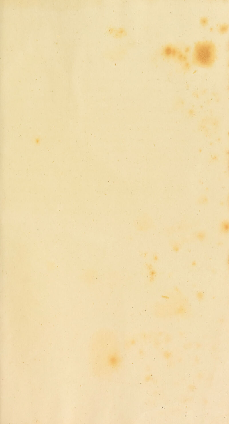 r I ' / 1 ♦ S' < f r «* » I I • ■ / f ) ' ¥ '9 .*. * '-A y } i ?► t * i*. *:* i. I \ i ' / \ w * r j I . t \ ' I ■# i ■' I « I • • T ’ k . *J t