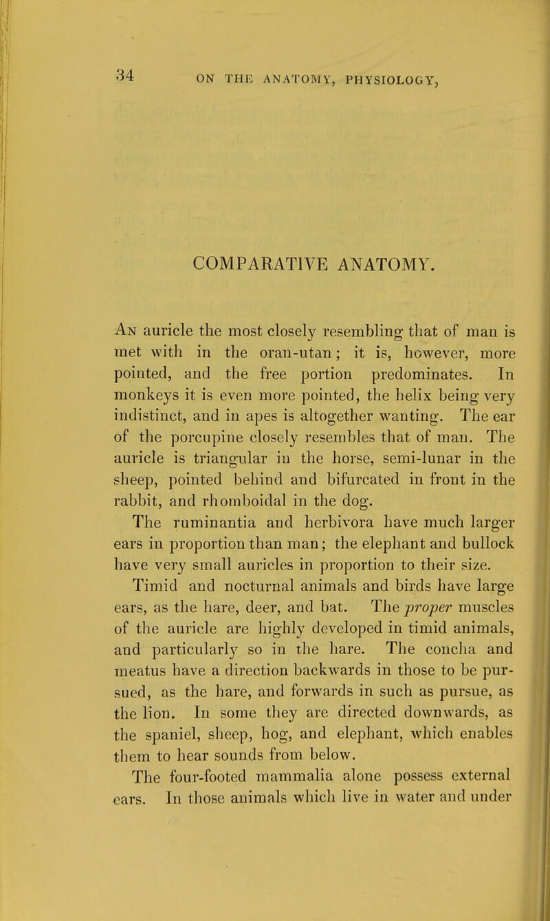 COMPARATIVE ANATOMY. An auricle the most closely resembling that of man is met with in the oran-utan; it is, however, more pointed, and the free portion predominates. In monkeys it is even more pointed, the helix being very indistinct, and in apes is altogether wanting. The ear of the porcupine closely resembles that of man. The auricle is triangular in the horse, semi-lunar in the sheep, pointed behind and bifurcated in front in the rabbit, and rhomboidal in the dog. The ruminantia and herbivora have much larger ears in proportion than man; the elephant and bullock have very small auricles in proportion to their size. Timid and nocturnal animals and birds have large ears, as the hare, deer, and bat. The proper muscles of the auricle are highly developed in timid animals, and particularly^ so in the hare. The concha and meatus have a direction backwards in those to be pur- sued, as the hare, and forwards in such as pursue, as the lion. In some they are directed downwards, as the spaniel, sheep, hog, and elephant, which enables them to hear sounds from below. The four-footed mammalia alone possess external cars. In those animals which live in water and under