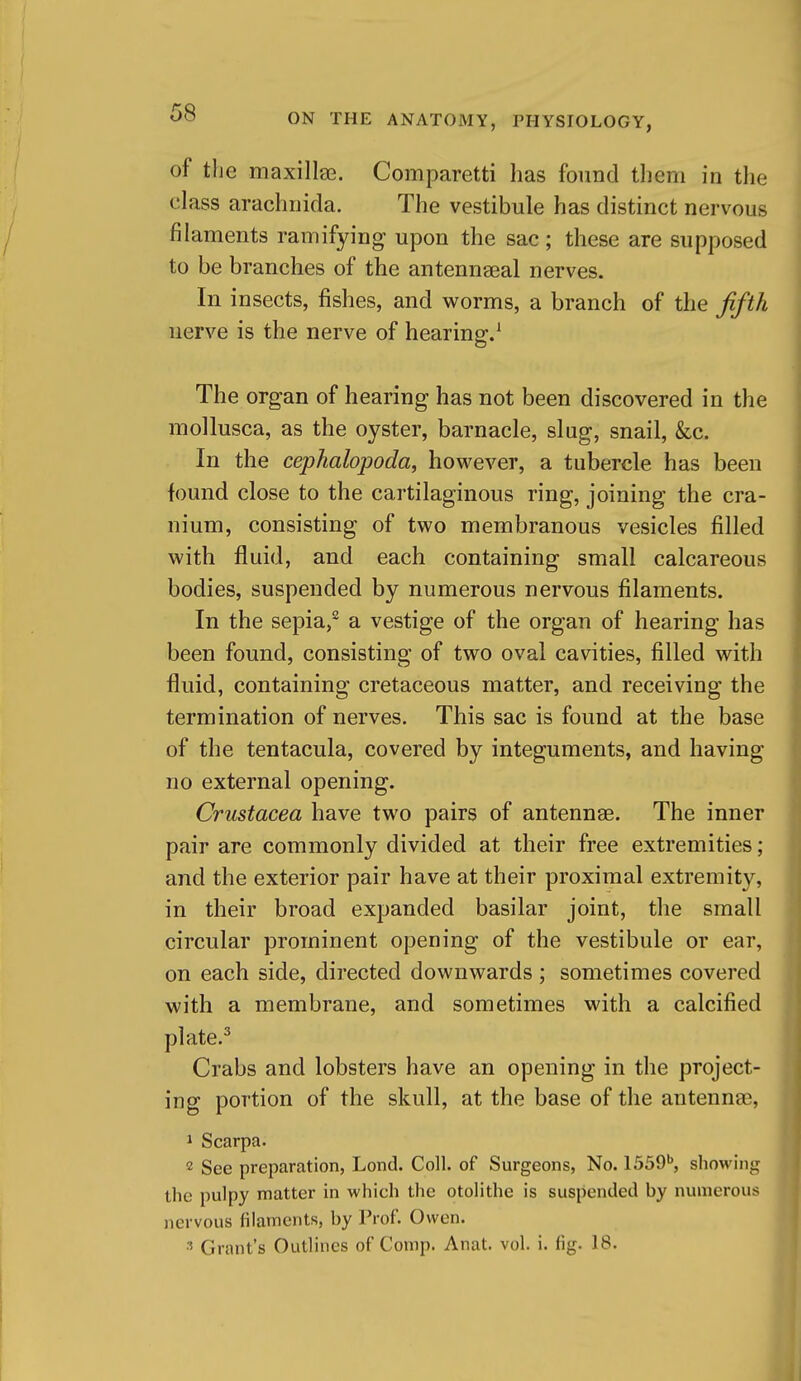of the maxillae. Comparetti has fonncl them in the class arachnida. The vestibule has distinct nervous filaments ramifying upon the sac; these a,re supposed to be branches of the antennaeal nerves. In insects, fishes, and worms, a branch of the fifth nerve is the nerve of hearing.^ The organ of hearing has not been discovered in the mollusca, as the oyster, barnacle, slug, snail, &c. In the cephalopoda, however, a tubercle has been found close to the cartilaginous ring, joining the cra- nium, consisting of two membranous vesicles filled with fluid, and each containing small calcareous bodies, suspended by numerous nervous filaments. In the sepia,^ a vestige of the organ of hearing has been found, consisting of two oval cavities, filled with fluid, containing cretaceous matter, and receiving the termination of nerves. This sac is found at the base of the tentacula, covered by integuments, and having no external opening. Crustacea have two pairs of antennae. The inner pair are commonly divided at their free extremities; and the exterior pair have at their proximal extremity, in their broad expanded basilar joint, the small circular prominent opening of the vestibule or ear, on each side, directed downwards ; sometimes covered with a membrane, and sometimes with a calcified plate.^ Crabs and lobsters have an opening in the project- ing portion of the skull, at the base of the antennae, 1 Scarpa. 2 See preparation, Lond. Coll. of Surgeons, No. 1559^, showing the pulpy matter in which the otolithe is suspended by numerous nervous filaments, by Prof. Owen. ^ Grant's Outlines of Comp. Anat. vol. i. fig. 18.