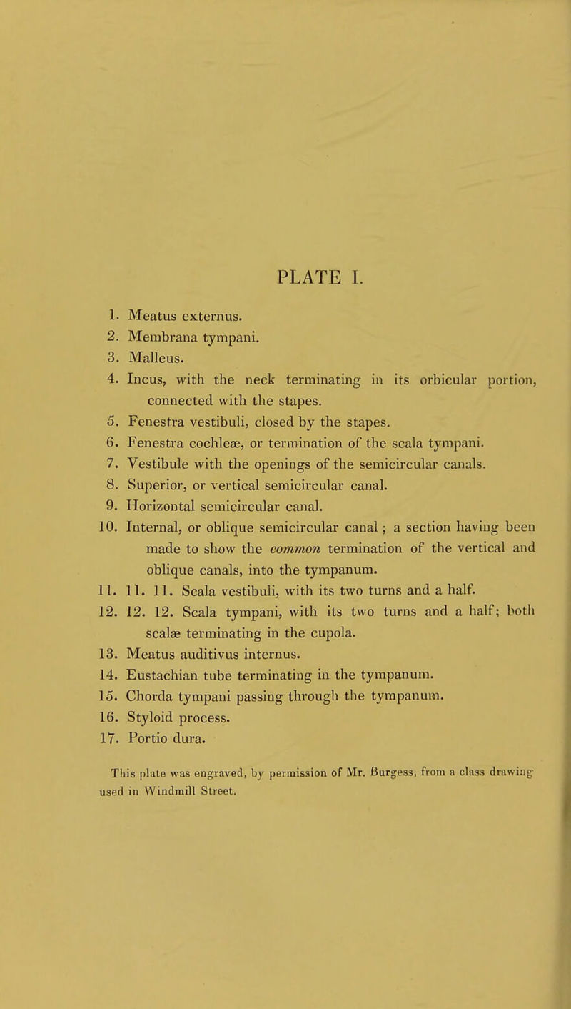 PLATE 1. 1. Meatus externus. 2. Membrana tympani. 3. Malleus. 4. Incus, with the neck terminatmg in its orbicular portion, connected with the stapes. 5. Fenestra vestibuli, closed by the stapes. 6. Fenestra cochleae, or termination of the scala tympani. 7. Vestibule with the openings of the semicircular canals. 8. Superior, or vertical semicircular canal. 9. Horizontal semicircular canal. 10. Internal, or oblique semicircular canal; a section having been made to show the common termination of the vertical and oblique canals, into the tympanum. 11. 11. 11. Scala vestibuli, with its two turns and a half. 12. 12. 12. Scala tympani, with its two turns and a half; both scalae terminating in the cupola. 13. Meatus auditivus internus. 14. Eustachian tube terminating in the tympanum. 15. Chorda tympani passing thi'ough the tympanum. 16. Styloid process. 17. Portio dura. Tliis plate was engraved, by permission of Mr. Burgess, from a class drawing- used in Windmill Street.