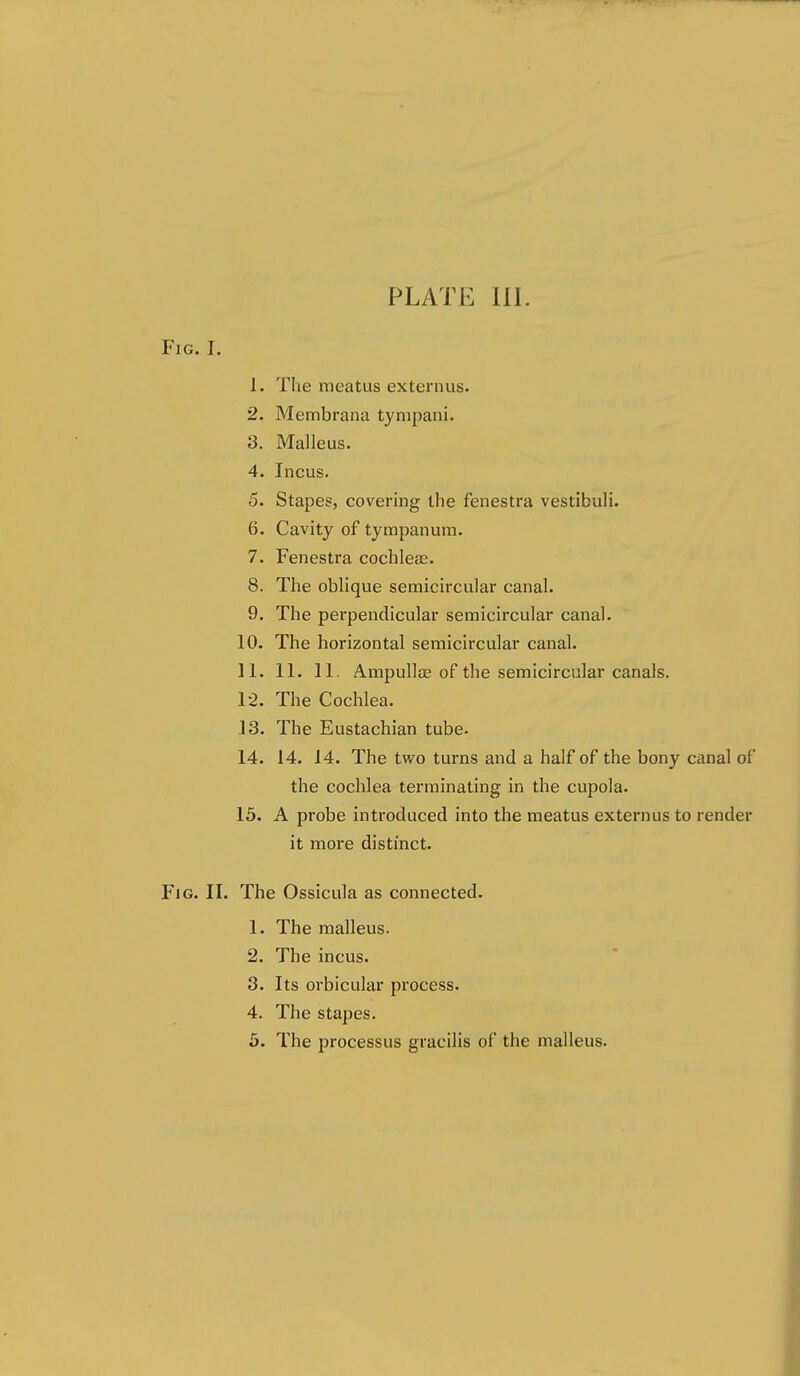 PLATE HI. Fig. I. 1. The meatus externus. 2. Membrana tynipani. 3. Malleus. 4. Incus. 5. Stapes, covering the fenestra vestibuli. 6. Cavity of tympanum. 7. Fenestra cochleas. 8. The oblique semicircular canal. 9. The perpendicular semicircular canal. 10. The horizontal semicircular canal. 11. 11. 11. Ampullae of the semicircular canals. 12. The Cochlea. 13. The Eustachian tube. 14. 14. 14. The two turns and a half of the bony canal of the cochlea terminating in the cupola. 15. A probe introduced into the meatus externus to render it more distinct. Fig. II. The Ossicula as connected. 1. The malleus. 2. The incus. 3. Its orbicular process. 4. The stapes.