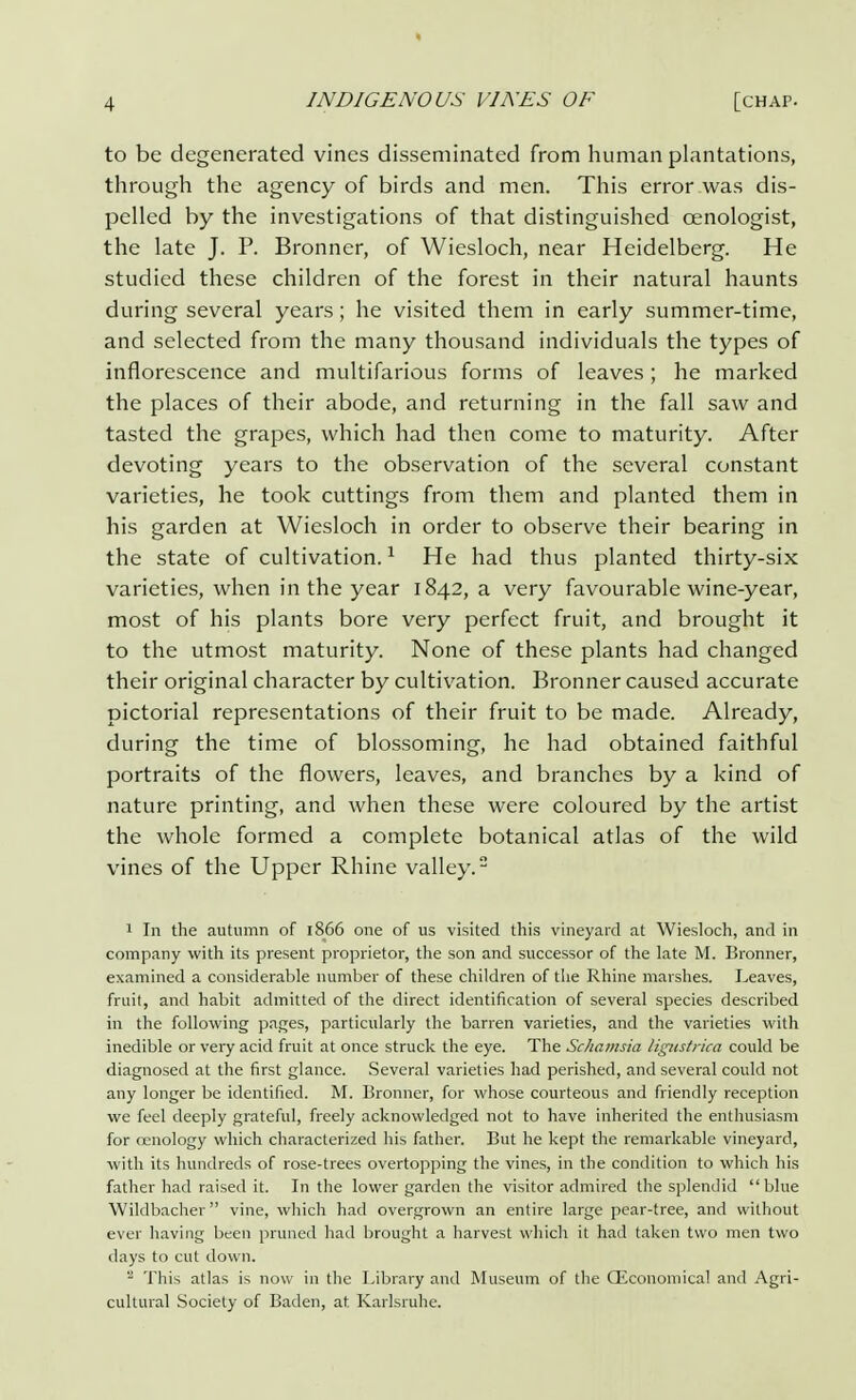 to be degenerated vines disseminated from human plantations, through the agency of birds and men. This error was dis- pelled by the investigations of that distinguished cenologist, the late J. P. Bronner, of Wiesloch, near Heidelberg. He studied these children of the forest in their natural haunts during several years; he visited them in early summer-time, and selected from the many thousand individuals the types of inflorescence and multifarious forms of leaves; he marked the places of their abode, and returning in the fall saw and tasted the grapes, which had then come to maturity. After devoting years to the observation of the several constant varieties, he took cuttings from them and planted them in his garden at Wiesloch in order to observe their bearing in the state of cultivation.1 He had thus planted thirty-six varieties, when in the year 1842, a very favourable wine-year, most of his plants bore very perfect fruit, and brought it to the utmost maturity. None of these plants had changed their original character by cultivation. Bronner caused accurate pictorial representations of their fruit to be made. Already, during the time of blossoming, he had obtained faithful portraits of the flowers, leaves, and branches by a kind of nature printing, and when these were coloured by the artist the whole formed a complete botanical atlas of the wild vines of the Upper Rhine valley.2 1 In the autumn of 1866 one of us visited this vineyard at Wiesloch, and in company with its present proprietor, the son and successor of the late M. Bronner, examined a considerable number of these children of the Rhine marshes. Leaves, fruit, and habit admitted of the direct identification of several species described in the following pages, particularly the barren varieties, and the varieties with inedible or very acid fruit at once struck the eye. The Schamsia ligtistrica could be diagnosed at the first glance. Several varieties had perished, and several could not any longer be identified. M. Bronner, for whose courteous and friendly reception we feel deeply grateful, freely acknowledged not to have inherited the enthusiasm for cenology which characterized his father. But he kept the remarkable vineyard, with its hundreds of rose-trees overtopping the vines, in the condition to which his father had raised it. In the lower garden the visitor admired the splendid blue Wildbacher vine, which had overgrown an entire large pear-tree, and without ever having been pruned had brought a harvest which it had taken two men two days to cut down. 2 This atlas is now in the Library and Museum of the ([Economical and Agri- cultural Society of Baden, at Karlsruhe.