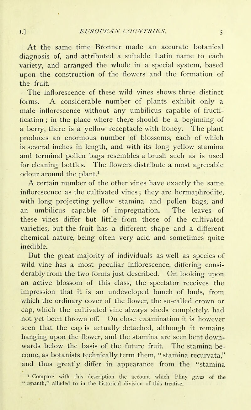 At the same time Bronner made an accurate botanical diagnosis of, and attributed a suitable Latin name to each variety, and arranged the whole in a special system, based upon the construction of the flowers and the formation of the fruit. The inflorescence of these wild vines shows three distinct forms. A considerable number of plants exhibit only a male inflorescence without any umbilicus capable of fructi- fication ; in the place where there should be a beginning of a berry, there is a yellow receptacle with honey. The plant produces an enormous number of blossoms, each of which is several inches in length, and with its long yellow stamina and terminal pollen bags resembles a brush such as is used for cleaning bottles. The flowers distribute a most agreeable odour around the plant.1 A certain number of the other vines have exactly the same inflorescence as the cultivated vines; they are hermaphrodite, with long projecting yellow stamina and pollen bags, and an umbilicus capable of impregnation. The leaves of these vines differ but little from those of the cultivated varieties, but the fruit has a different shape and a different chemical nature, being often very acid and sometimes quite inedible. But the great majority of individuals as well as species of wild vine has a most peculiar inflorescence, differing consi- derably from the two forms just described. On looking upon an active blossom of this class, the spectator receives the impression that it is an undeveloped bunch of buds, from which the ordinary cover of the flower, the so-called crown or cap, which the cultivated vine always sheds completely, had not yet been thrown off. On close examination it is however seen that the cap is actually detached, although it remains hanging upon the flower, and the stamina are seen bent down- wards below the basis of the future fruit. The stamina be- come, as botanists technically term them, stamina recurvata, and thus greatly differ in appearance from the stamina 1 Compare with this description the account which Pliny gives of the cenanth, alluded to in the historical division of this treatise.