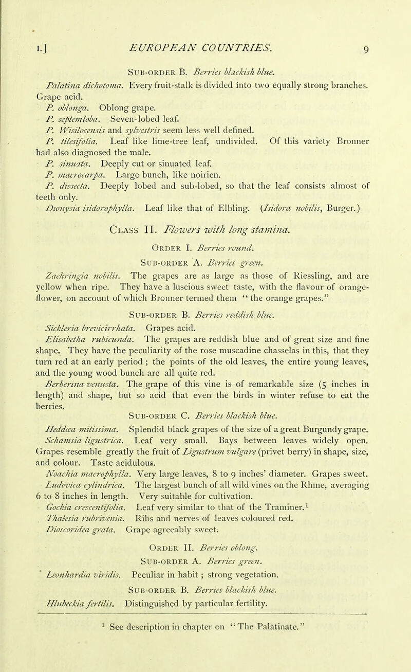 Sub-order B. Berries blackish blue. Palatina dichotoma. Every fruit-stalk is divided into two equally strong branches. Grape acid. P. oblonga. Oblong grape. P. septetnloba. Seven-lobed leaf. P. Wisilocensis and sylvestris seem less well defined. P. tilesifolia. Leaf like lime-tree leaf, undivided. Of this variety Bronner had also diagnosed the male. P. sinuata. Deeply cut or sinuated leaf. P. macrocarpa. Large bunch, like noirien. P. dissecta. Deeply lobed and sub-lobed, so that the leaf consists almost of teeth only. Dwnysia isidorophylla. Leaf like that of Elbling. (Isidora nobilis, Burger.) Class II. Flowers with long stamina. Order I. Berries round. Sub-order A. Berries green. Zachringia nobilis. The grapes are as large as those of Riessling, and are yellow when ripe. They have a luscious sweet taste, with the flavour of orange- flower, on account of which Bronner termed them  the orange grapes. Sub-order B. Berries reddish blue. Sickleria brevicirrhata. Grapes acid. Elisabetha rubicunda. The grapes are reddish blue and of great size and fine shape. They have the peculiarity of the rose muscadine chasselas in this, that they turn red at an early period ; the points of the old leaves, the entire young leaves, and the young wood bunch are all quite red. Berberina venusta. The grape of this vine is of remarkable size (5 inches in length) and shape, but so acid that even the birds in winter refuse to eat the berries. Sub-order C. Berries blackish blue. Heddaa mitissima. Splendid black grapes of the size of a great Burgundy grape. Schamsia liguslrica. Leaf very small. Bays between leaves widely open. Grapes resemble greatly the fruit of Ligicstrum vulgare (privet berry) in shape, size, and colour. Taste acidulous. Noachia macrophylla. Very large leaves, 8 to 9 inches' diameter. Grapes sweet. Ludovica cylindrica. The largest bunch of all wild vines on the Rhine, averaging 6 to 8 inches in length. Very suitable for cultivation. Gockia crescenti/olia. Leaf very similar to that of the Traminer.1 Thalesia rubrivenia. Ribs and nerves of leaves coloured red. Dioscoridea grata. Grape agreeably sweet. Order II. Berries oblong. Sub-order A. Berries green. Leonhardia viridis. Peculiar in habit; strong vegetation. Sub-order B. Berries blackish blue. Hlubeckia firtilis. Distinguished by particular fertility. 1 See description in chapter on The Palatinate.