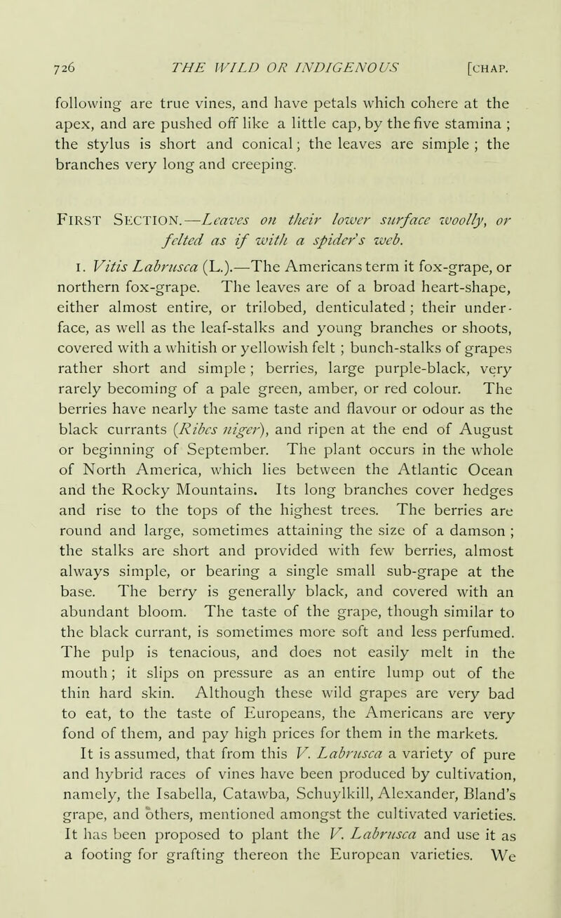 following are true vines, and have petals which cohere at the apex, and are pushed off like a little cap, by the five stamina ; the stylus is short and conical; the leaves are simple ; the branches very long and creeping. First Section.—Leaves on their lower surface woolly, or felted as if with a spider s web. i. Vitis Labrnsca (L.).—The Americans term it fox-grape, or northern fox-grape. The leaves are of a broad heart-shape, either almost entire, or trilobed, denticulated; their under- face, as well as the leaf-stalks and young branches or shoots, covered with a whitish or yellowish felt ; bunch-stalks of grapes rather short and simple; berries, large purple-black, very rarely becoming of a pale green, amber, or red colour. The berries have nearly the same taste and flavour or odour as the black currants (Rides niger), and ripen at the end of August or beginning of September. The plant occurs in the whole of North America, which lies between the Atlantic Ocean and the Rocky Mountains. Its long branches cover hedges and rise to the tops of the highest trees. The berries are round and large, sometimes attaining the size of a damson ; the stalks are short and provided with few berries, almost always simple, or bearing a single small sub-grape at the base. The berry is generally black, and covered with an abundant bloom. The taste of the grape, though similar to the black currant, is sometimes more soft and less perfumed. The pulp is tenacious, and does not easily melt in the mouth; it slips on pressure as an entire lump out of the thin hard skin. Although these wild grapes are very bad to eat, to the taste of Europeans, the Americans are very fond of them, and pay high prices for them in the markets. It is assumed, that from this V. Labrnsca a variety of pure and hybrid races of vines have been produced by cultivation, namely, the Isabella, Catawba, Schuylkill, Alexander, Bland's grape, and others, mentioned amongst the cultivated varieties. It has been proposed to plant the V. Labrnsca and use it as a footing for grafting thereon the European varieties. We