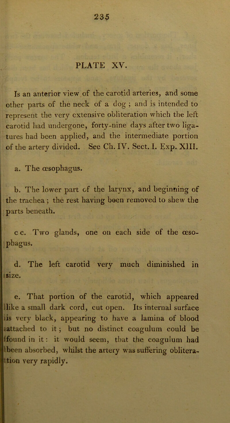 PLATE XV. Is an anterior view of the carotid arteries, and some other parts of the neck of a dog ; and is intended to represent the very extensive obliteration which the left carotid liad undergone, forty-nine days after two liga- tures had been applied, and the intermediate portion of the artery divided. See Ch. IV. Sect. 1. Exp. Xlll. a. The oesophagus. b. The lower part of the larynx, and beginning of the trachea ; the rest having baen removed to shew the parts beneath. c c. Two glands, one on each side of the oeso- phagus. d. The left carotid very much diminished in jsize. e. That portion of the carotid, which appeared ilike a small dark cord, cut open. Its internal surface iis very black, appearing to have a lamina of blood aattached to it; but no distinct coagulum could be ffound in it: it would seem, that the coagulum had Ibeen absorbed, Avliilst the artery was suffering oblitera- ttion very rapidly.