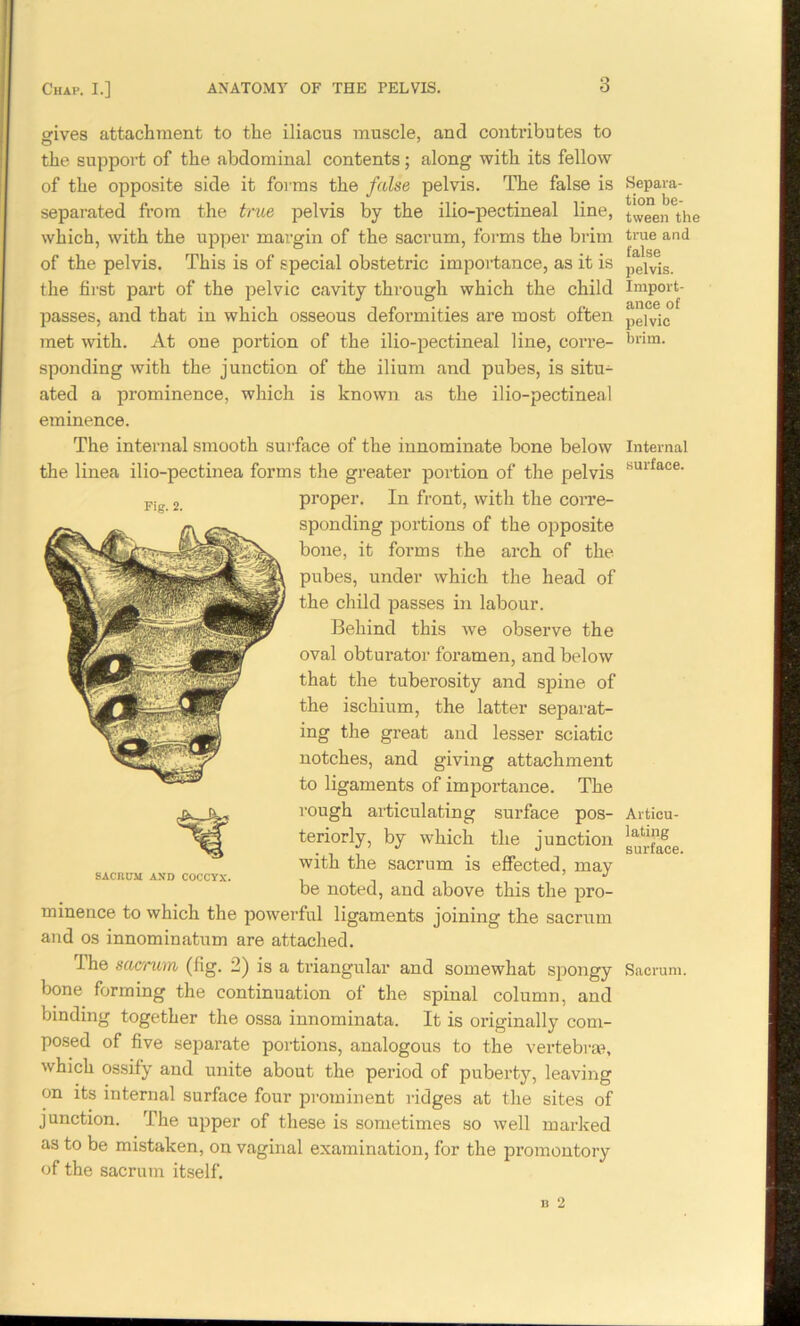 gives attachment to the iliacus muscle, and contributes to the support of the abdominal contents; along with its fellow of the opposite side it forms the false pelvis. The false is separated from the true pelvis by the ilio-pectineal line, which, with the upper margin of the sacrum, forms the brim of the pelvis. This is of special obstetric importance, as it is the first part of the pelvic cavity through which the child passes, and that in which osseous deformities are most often met with. At one portion of the ilio-pectineal line, corre- sponding with the junction of the ilium and pubes, is situ- ated a prominence, which is known as the ilio-pectineal eminence. The internal smooth surface of the innominate bone below the linea ilio-pectinea forms the greater portion of the pelvis proper. In front, with the corre- sponding portions of the opposite bone, it forms the arch of the pubes, under which the head of the child passes in labour. Behind this we observe the oval obturator foramen, and below that the tuberosity and spine of the ischium, the latter separat- ing the great and lesser sciatic notches, and giving attachment to ligaments of importance. The rough articulating surface pos- teriorly, by which the junction with the sacrum is effected, may be noted, and above this the pro- minence to which the powerful ligaments joining the sacrum and os innominatum are attached. The sacrum (fig. 2) is a triangular and somewhat spongy bone forming the continuation ot the spinal column, and binding together the ossa innominata. It is originally com- posed of five separate portions, analogous to the vertebrae, which ossify and unite about the period of puberty, leaving on its internal surface four prominent ridges at the sites of junction. The upper of these is sometimes so well marked as to be mistaken, on vaginal examination, for the promontory of the sacrum itself. Fig. 2. SACRUM AND COCCYX. Separa- tion be- tween the true and false pelvis. Import- ance of pelvic brim. Internal surface. Articu- lating surface. Sacrum.