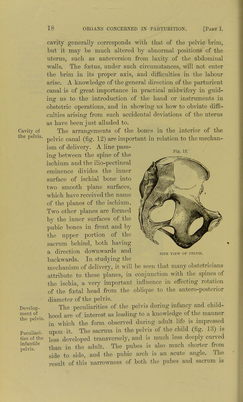 Cavity of the pelvis. Pig. 12. Develop- ment of the pelvis. Peculiari- ties of the infantile pelvis. cavity generally corresponds with that of the pelvic brim, but it may be much altered by abnormal positions of the uterus, such as ante version from laxity of the abdominal walls. The foetus, under such circumstances, will not enter the brim in its proper axis, and difficulties in the labour arise. A knowledge of the general direction of the parturient canal is of great importance in practical midwifery in guid- inar us to the introduction of the hand or instruments in obstetric operations, and in showing us how to obviate diffi- culties arising from such accidental deviations of the uterus as have been just alluded to. The arrangements of the bones in the interior of the pelvic canal (fig. 12) are important in relation to the mechan- ism of delivery. A line pass- ing between the spine of the ischium and the ilio-pectineal eminence divides the inner surface of ischial bone into two smooth plane surfaces, which have received the name of the planes of the ischium. Two other planes are formed by the inner surfaces of the pubic bones in front and by the upper portion of the sacrum behind, both having a direction downwards and backwards. In studying the mechanism of delivery, it will be seen that many obstetricians attribute to these planes, in conjunction with the spines of the ischia, a very important influence in effecting rotation of the foetal head from the oblique to the antero-posterior diameter of the pelvis. The peculiarities of the pelvis during infancy and child- hood are of. interest as leading to a knowledge of the manner in which the form observed during adult life is impressed upon it. The sacrum in the pelvis of the child (fig. 13) is less developed transversely, and is much less deeply curved than in the adult. The pubes is also much shorter from side to side, and the pubic arch is an acute angle. The result of this narrowness of both the pubes and sacrum is SIDE VIEW OF PELVIS.