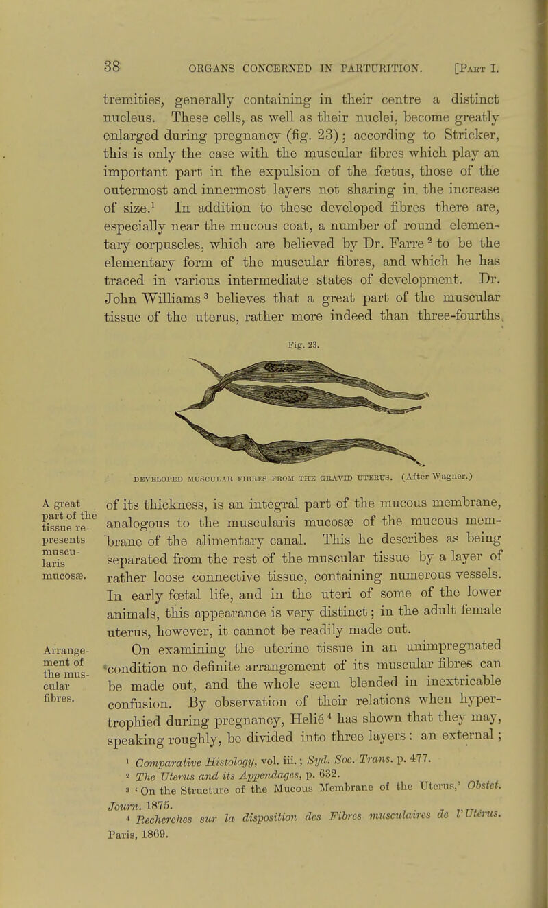 tremities, generally containing in tlieir centre a distinct nucleus. These cells, as well as their nuclei, become greatly enlarged during pregnancy (fig. 23); according to Strieker, this is only the case with the rauscular fibres which play an important part in the expulsion of the foetus, those of the outermost and innermost layers not sharing in. the increase of size.^ In addition to these developed fibres there are, especially near the mucous coat, a number of round elemen- tary corpuscles, which are believed by Dr. Farre ^ to be the elementary form of the muscular fibres, and which he has traced in various intermediate states of developm.ent. Dr. John Williams ^ believes that a great part of the muscular tissue of the uterus, rather more indeed than three-fourths. Fig. 23. A great part of tlie tissue re- presents muscu- laris mucosae. Arrange- ment of the mus- cular fibres. DEVELOPED MUSCULAB FIBRES FROM THE GRAVID UTERUS. (After Waguer.) of its thickness, is an integral part of the mucous membrane, analogous to the muscularis mucosse of the mucous mem- brane of the alimentary canal. This he describes as being separated from the rest of the muscular tissue by a layer of rather loose connective tissue, containing numerous vessels. In early foetal life, and in the uteri of some of the lower animals, this appearance is very distinct; in the adult female uterus, however, it cannot be readily made out. On examining the uterine tissue in an unimpregnated *condition no definite arrangement of its muscular fibres can be made out, and the whole seem blended in inextricable confusion. By observation of their relations when hyper- trophied during pregnancy, Heliehas shown that they may, speaking roughly, be divided into three layers : an external; ' Cmiimrative Histology, vol. iii.; Syd. Soc. Trans, p. 477. 2 The Uterus and its Airpendages, p. 632. 3 ' On the Structure of the Mucous Membrane of the Uterus,' Ohstct. Joum. 1875. •» Becherches sur la dis:position des Fibres musculaires de I Utinis. Paris, 1869.