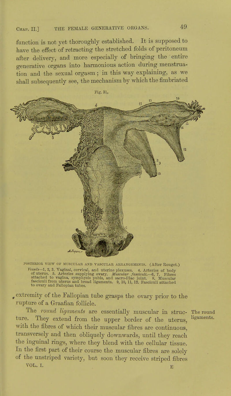 function is not yet thoroaglily established. It is supposed to have the effect of retracting the stretched folds of peritoneum after delivery, and more especially of bringing the entire generative organs into harmonious action during menstrua- tion and the sexual orgasm; in this way explaining, as we shall subsequently see, the mechanism by which the fimbriated POSTERIOn VIEW OJ.' MUSCULAR AND VASCULAR ARRANaEMENTS. (After EoUget.) Vessels—1, 2, 3. Vaginal, cervical, and uterine plexuses. 4. Arteries of body of uterus. 5. Arteries supplying ovary. Muscular fasciculi.—6, 7. Fibres attached to vagina, symphysis pubis, and sacro-iliac joint. 8. Muscular fasciculi from uterus and broad ligaments. 9, 10, 11, 12. Fasciculi attached to ovary and Fallopian tubes. ^ extremity of the Fallopian tube grasps the ovary prior to the rupture of a Graafian follicle. The round ligaments are essentially muscular in struc- ture. They extend from the upper border of the uterus, with the fibres of which their muscular fibres are continuous, transversely and then obliquely downwards, until they reach the inguinal rings, where they blend with the cellular tissue. In the first part of their course the muscular fibres are solely of the unstriped variety, but soon they receive striped fibres The round ligaments. VOL. I. E