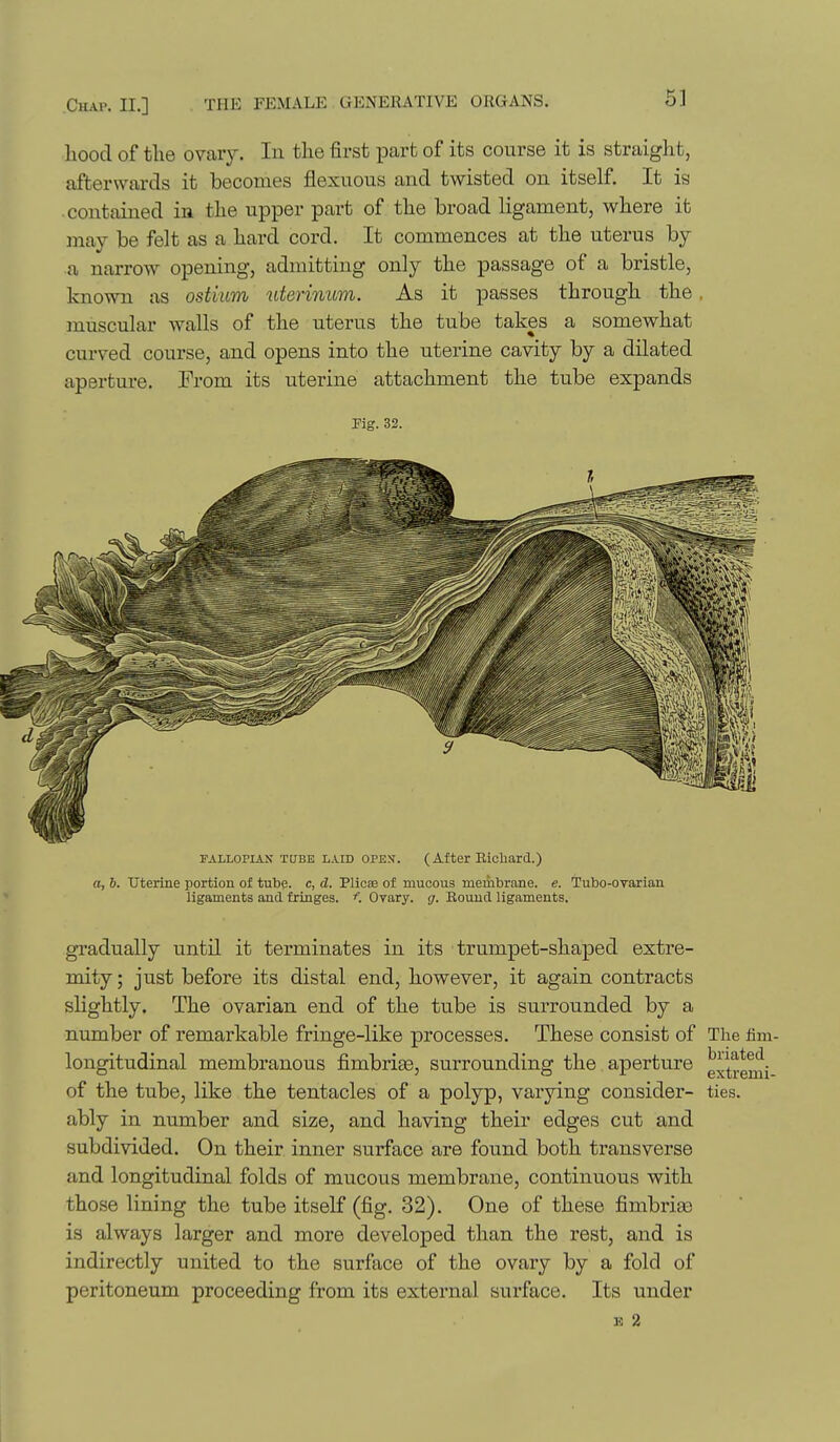5] hood of the ovary. In the first part of its course it is straight, afterwards it becomes flexuous and twisted on itself. It is contained in the upper part of the broad ligament, where it may be felt as a hard cord. It commences at the uterus by a narrow opening, admitting only the passage of a bristle, known as ostium uterinum. As it passes through the muscular walls of the uterus the tube takes a somewhat curved course, and opens into the uterine cavity by a dilated aperture. From its uterine attachment the tube expands Fig. 32. FALLOPIAN TUBE LAID orE>j. (After Eicbard.) a, b. Uterine portion of tube, c, d, Plicas of mucous membrjine. e. Tubo-OTaiian ligaments and fringes, Ovary, g. Round ligaments. gradually until it terminates in its trumpet-shaped extre- mity; just before its distal end, however, it again contracts slightly. The ovarian end of the tube is surrounded by a number of remarkable fringe-like processes. These consist of The fim- longitudinal membranous fimbrias, surrounding the aperture g^tremi of the tube, like the tentacles of a polyp, varying consider- ties, ably in number and size, and having their edges cut and subdivided. On their inner surface are found both transverse and longitudinal folds of mucous membrane, continuous with those lining the tube itself (fig, 32). One of these fimbria3 is always larger and more developed than the rest, and is indirectly united to the surface of the ovary by a fold of peritoneum proceeding from its external surface. Its under