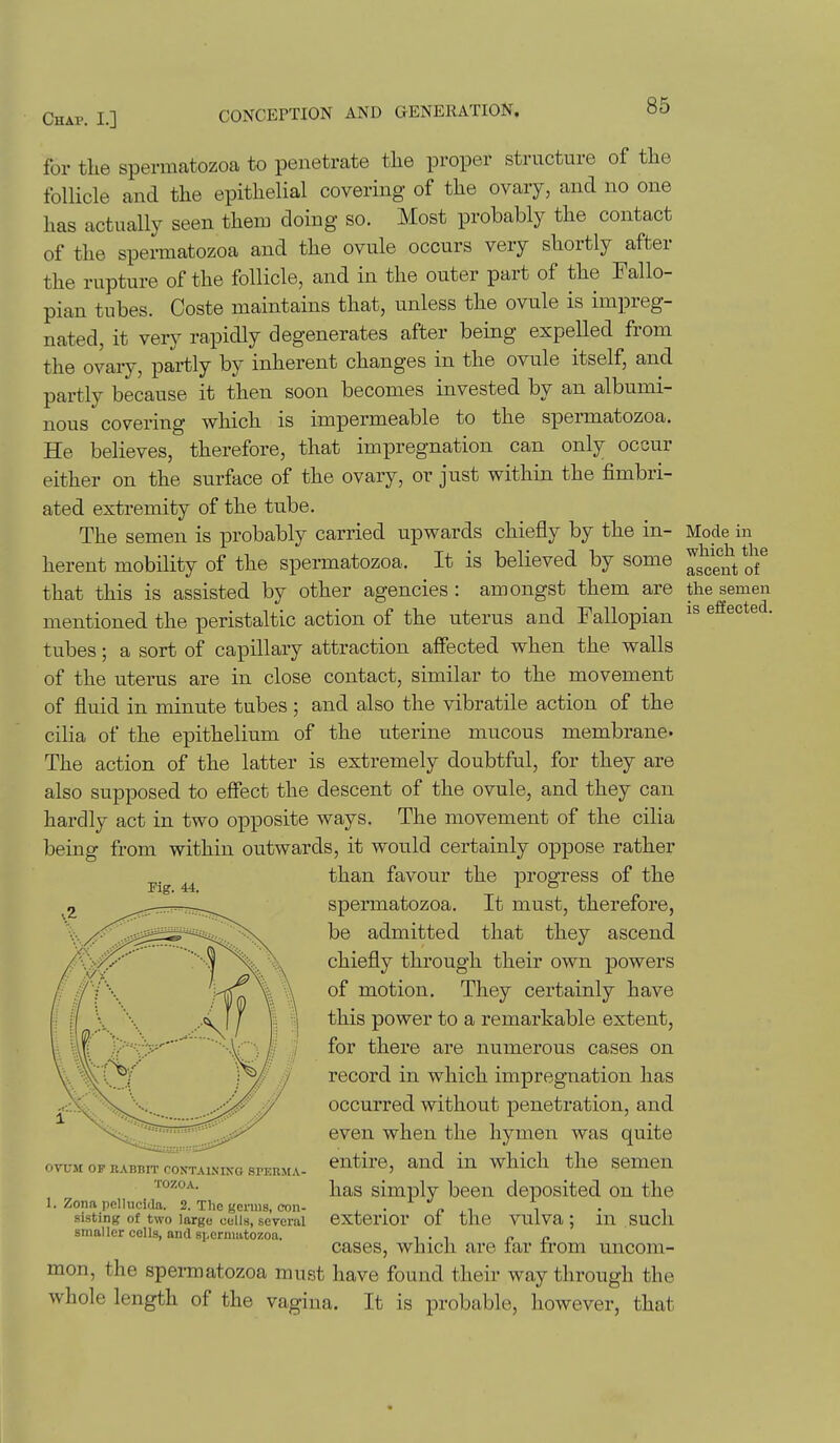 for the spermatozoa to penetrate the proper structure of the follicle and the epithelial covering of the ovary, and no one has actually seen them doing so. Most probably the contact of the spermatozoa and the ovule occurs very shortly after the rupture of the follicle, and in the outer part of the Fallo- pian tubes. Coste maintains that, unless the ovule is im]3reg- nated, it very rapidly degenerates after being expelled from the ovary, partly by inherent changes in the ovule itself, and partly because it then soon becomes invested by an albumi- nous covering wliich is impermeable to the spermatozoa. He believes, therefore, that impregnation can only occur either on the surface of the ovary, or just within the fimbri- ated extremity of the tube. The semen is probably carried upwards chiefly by the in- Mode in herent mobility of the spermatozoa. It is believed by some Ascent that this is assisted by other agencies : amongst them are the semen mentioned the peristaltic action of the uterus and Fallopian is e ec e . tubes; a sort of capillary attraction affected when the walls of the uterus are in close contact, similar to the movement of fluid in minute tubes ; and also the vibratile action of the cilia of the epithelium of the uterine mucous membrane- The action of the latter is extremely doubtful, for they are also supposed to effect the descent of the ovule, and they can hardly act in two opposite ways. The movement of the cilia being from within outwards, it would certainly oppose rather than favour the progress of the spermatozoa. It must, therefore, be admitted that they ascend chiefly through their own powers of motion. They certainly have this power to a remarkable extent, for there are numerous cases on record in which impregnation has occurred without penetration, and even when the hymen was quite entire, and in which the semen has simply been deposited on the exterior of the vulva; in such cases, which are far from uncom- mon, the spermatozoa must have found their way through the whole length of the vagina. It is probable, however, that Fig. 44. OVUM OP RAunn- containing speuma- TOZOA. 1. Zona pellucida. 2. The genus, con- sisting of two large cells, several smaller cells, and spermatozoa.