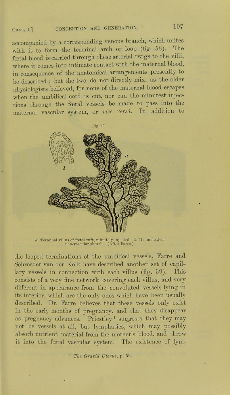accompanied by a corresponding venous branch, which unites with it to form the terminal arch or loop (fig. 58). The fcetal blood is carried through these arterial twigs to the villi, where it comes into intimate contact with the maternal blood, in consequence of the anatomical arrangements presently to be described ; but the two do not directly mix, as the older physiologists believed, for none of the maternal blood escapes when the umbilical cord is cut, nor can the minutest injec- tions through the foetal vessels be made to pass into the maternal vascular system, or vice versa. In addition to Fig. 59. a. Tei-miiial Tillus of foetal tuft, miimtelj' injected, h. Its nucleated nou-vascular sheath. (After Pairs.) the looped terminations of the umbilical vessels, Farre and Schroeder van der Kolk have described another set of capil- lary vessels in connection with each villus (fig. 59). This consists of a very fine network covering each villus, and very different in appearance from the convoluted vessels lying in its interior, which are the only ones which have been usually described. Dr. Farre believes that these vessels only exist in the early months of pregnancy, and that they disappear as pregnancy advances. Priestley ^ suggests that they may not be vessels at all, but lymphatics, which may possibly absorb nutrient material from the mother's blood, and throw it into the fcetal vascular system. The existence of lym- The Gravid Uterus, p. 52.