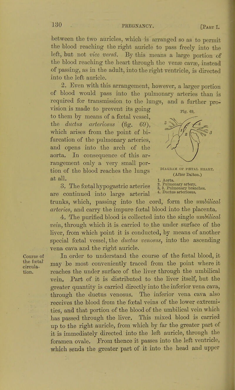 180 [Paut I. between the two auricles, wliich is arranged so as to permit the blood reaching the right auricle to pass freely into the left, but not vice versa. By this means a large portion of the blood reaching the heart through the venae cavse, instead of passing, as in the adult, into the right ventricle, is directed into the left auricle, 2. Even with this arrangement, however, a larger portion of blood would pass into the pulmonary arteries than is required for transmission to the lungs, and a further pro- vision is made to prevent its going gg to them by means of a foetal vessel, the ductus arteriosus (fig. 69), which arises from the point of bi- furcation of the pulmonary arteries, and opens into the arch of the aorta. In consequence of this ar- rangement only a very small por- tion of the blood reaches the lungs ^'^''^^^ °^ ^^^^^ ° (After Dalton.) ^ti all. 1_ Aorta. 3. The foetal hypogastric arteries U^'^^Z^'^V.k.^,,. are continued into large arterial Ductus arteriosus. trunks, which, passing into the cord, form the umbilical arteries, and carry the impure foetal blood into the placenta. 4. The purified blood is collected into the single umbilical vein, through which it is carried to the under surface of the liver, from which point it is conducted, by means of another special foetal vessel, the ductus venosus, into the ascending vena cava and the right auricle. Course of In order to understand the course of the foetal blood, it circula may be most conveniently traced from the point where it tion. reaches the under surface of the liver through the umbilical vein. Part of it is distributed to the liver itself, but the greater quantity is carried directly into the inferior vena cava, through the ductus venosus. The inferior vena cava also receives the blood from the foetal veins of the lower extremi- ties, and that portion of the blood of the umbilical vein which has passed through the liver. This mixed blood is carried up to the right auricle, from which by far the greater part of it is immediately directed into the left auricle, through the foramen ovale. From thence it passes into the left ventricle, which sends the greater part of it into the head and upper
