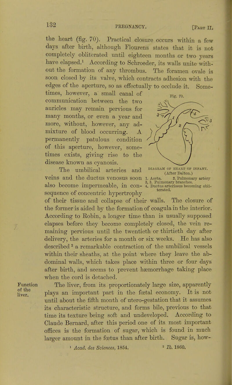 [Paet n. the heart (fig. 70). Practical closure occurs within a few days after birth, although Flourens states that it is not completely obliterated until eighteen months or two years have elapsed. 1 According to Schroeder, its walls unite with- out the formation of any thrombus. The foramen ovale is soon closed by its valve, which contracts adhesion with the edges of the aperture, so as eflFectually to occlude it. Some- times, however, a small canal of communication between the two auricles may remain pervious for many months, or even a year and more, without, however, any ad- mixture of blood occurring. A permanently patulous condition of this aperture, however, some- times exists, giving rise to the disease known as cyanosis. The umbilical arteries and diagram op ™ of u.™. (After Dalton.) veins and the ductus VenOSUS soon l. Aorta. 2. Pulmonary artery I I . II- 3, 3. Pulmonary branches, also become impermeable, m con- 4. Ductus arteriosus becoming obll- „ , • 1 , 1 terated. sequence 01 concentric hypertrophy of their tissue and collapse of their walls. The closure of the former is aided by the formation of coagula in the interior. According to Eobin, a longer time than is usually supposed elapses before they become completely closed, the vein re- maining pervious until the twentieth or thirtieth day after delivery, the arteries for a month or six weeks. He has also described ^ a remarkable contraction of the umbilical vessels within their sheaths, at the point where they leave the ab- dominal walls, which takes place within three or four days after birth, and seems to prevent hsemorrhage taking place when the cord is detached. Function The liver, from its proportionately large size, apparently Hver ^ plays an important part in the foetal economy. It is not until about the fifth month of utero-gestation that it assumes its characteristic structure, and forms bile, previous to that time its texture being soft and undeveloped. According to Claude Bernard, after this period one of its most important offices is the formation of sugar, which is found in much larger amount in the foetus than after birth. Sugar is, how- > Acad, des Sciences, 1854. ^ lb. 1860.