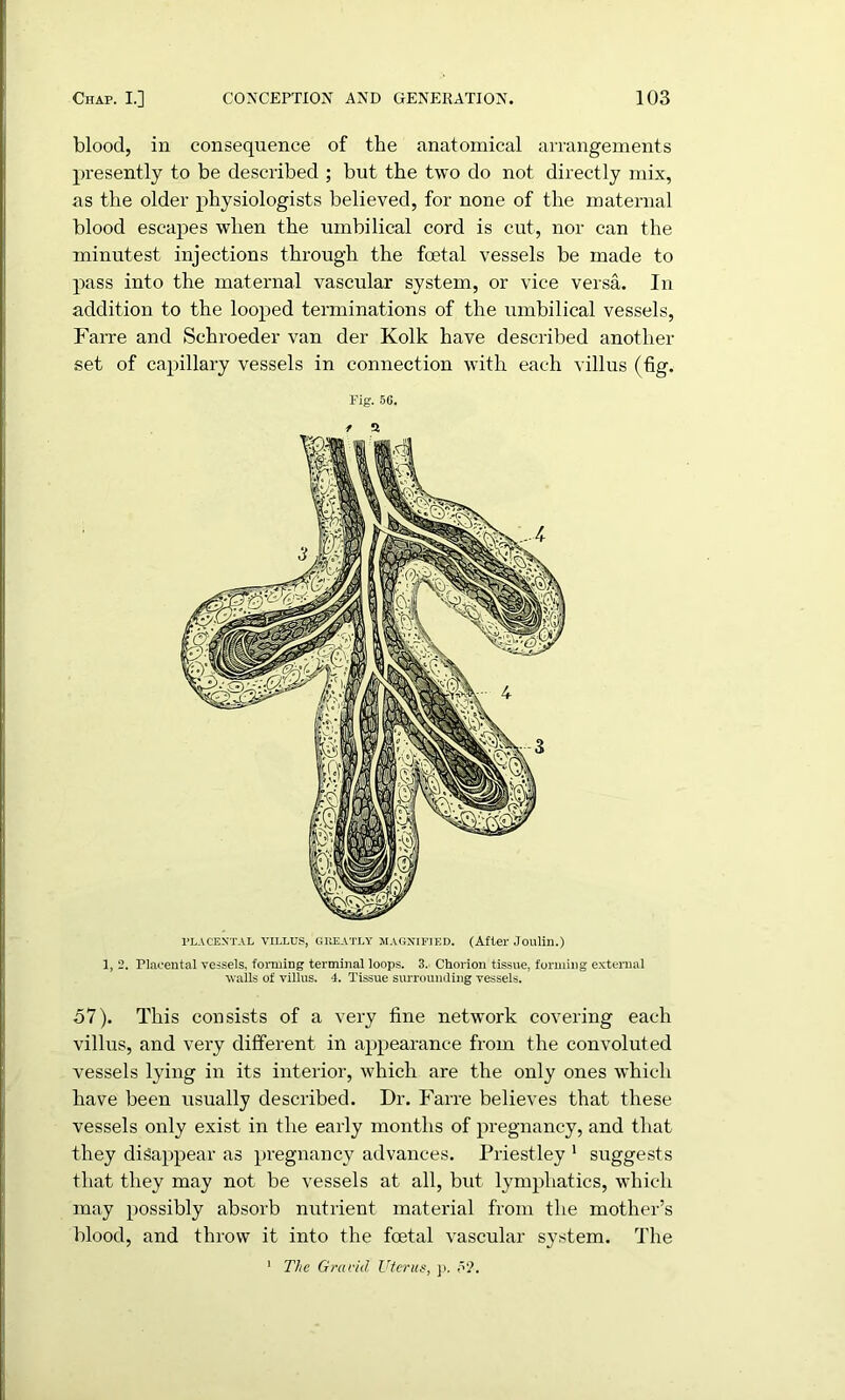 blood, in consequence of the anatomical arrangements presently to be described ; but the two do not directly mix, as the older physiologists believed, for none of the maternal blood escapes when the umbilical cord is cut, nor can the minutest injections through the foetal vessels be made to pass into the maternal vascular system, or vice versa. In addition to the looped terminations of the umbilical vessels, Farre and Schroeder van der Kolk have described another set of capillary vessels in connection with each villus (fig. Fig. 56. / a PLACENTAL VILLUS, GREATLY MAGNIFIED. (After Joulin.) 1, 2. Placental vessels, forming terminal loops. 3. Chorion tissue, forming external tvails of villus. 4. Tissue surrounding vessels. 57). This consists of a very fine network covering each villus, and very different in appearance from the convoluted vessels lying in its interior, which are the only ones which have been usually described. Dr. Farre believes that these vessels only exist in the early months of pregnancy, and that they disappear as pregnancy advances. Priestley 1 suggests that they may not be vessels at all, but lymphatics, which may possibly absorb nutrient material from the mother’s blood, and throw it into the foetal vascular system. The 1 The Gravid Uterus, p. o?-.