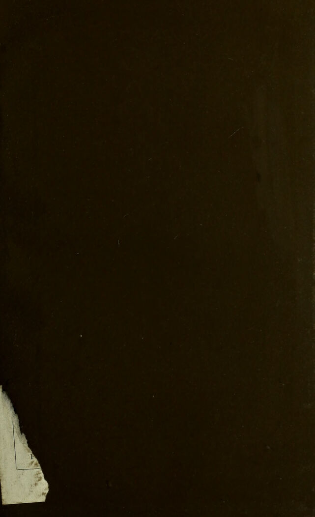 digitised image 3