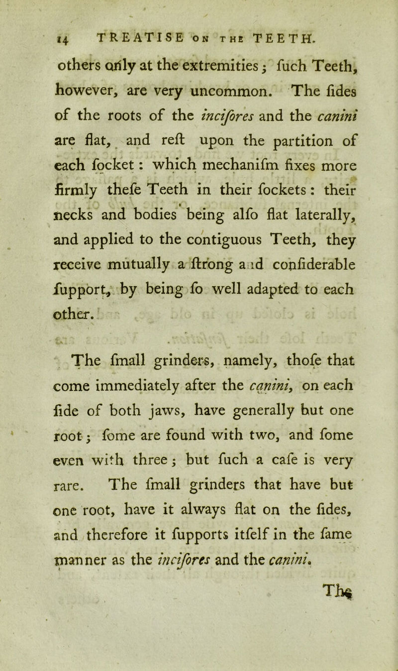 others cully at the extremities; fuch Teeth, however, are very uncommon. The fides of the roots of the incifores and the canini are flat, and reft upon the partition of each focket: which mechanifm fixes more firmly thefe Teeth in their fockets: their * necks and bodies being alfo flat laterally, and applied to the contiguous Teeth, they receive mutually a ftrong a id confiderable fupport, by being fo well adapted to each other. The fmall grinders, namely, thofe that , «» - \ come immediately after the canini, on each fide of both jaws, have generally but one rootfome are found with two, and fome even with three; but fuch a cafe is very rare. The fmall grinders that have but / 4 one root, have it always flat on the fides, and therefore it fupports itfelf in the fame manner as the incifores and the canini. T b*