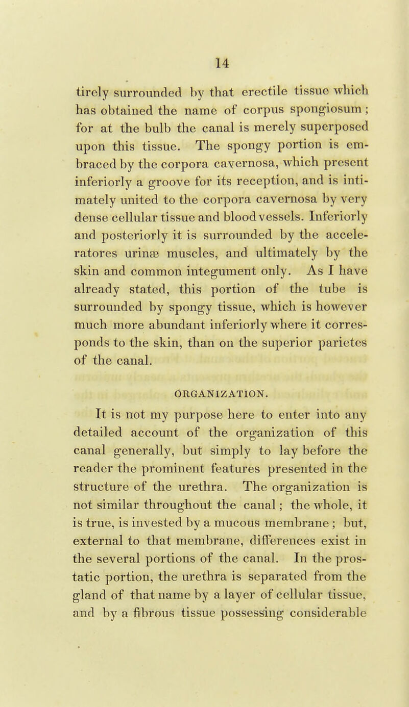 tirely surrounded by that erectile tissue which has obtained the name of corpus spongiosum ; for at the bulb the canal is merely superposed upon this tissue. The spongy portion is em- braced by the corpora cavernosa, which present inferiorly a groove for its reception, and is inti- mately united to the corpora cavernosa by very dense cellular tissue and bloodvessels. Inferiorly and posteriorly it is surrounded by the accele- ratores urinaB muscles, and ultimately by the skin and common integument only. As I have already stated, this portion of the tube is surrounded by spongy tissue, which is however much more abundant inferiorly where it corres- ponds to the skin, than on the superior parietes of the canal. ORGANIZATION. It is not my purpose here to enter into any detailed account of the organization of this canal generally, but simply to lay before the reader the prominent features presented in the structure of the urethra. The organization is not similar throughout the canal; the whole, it is true, is invested by a mucous membrane ; but, external to that membrane, differences exist in the several portions of the canal. In the pros- tatic portion, the urethra is separated from the gland of that name by a layer of cellular tissue, and by a fibrous tissue possessing considerable