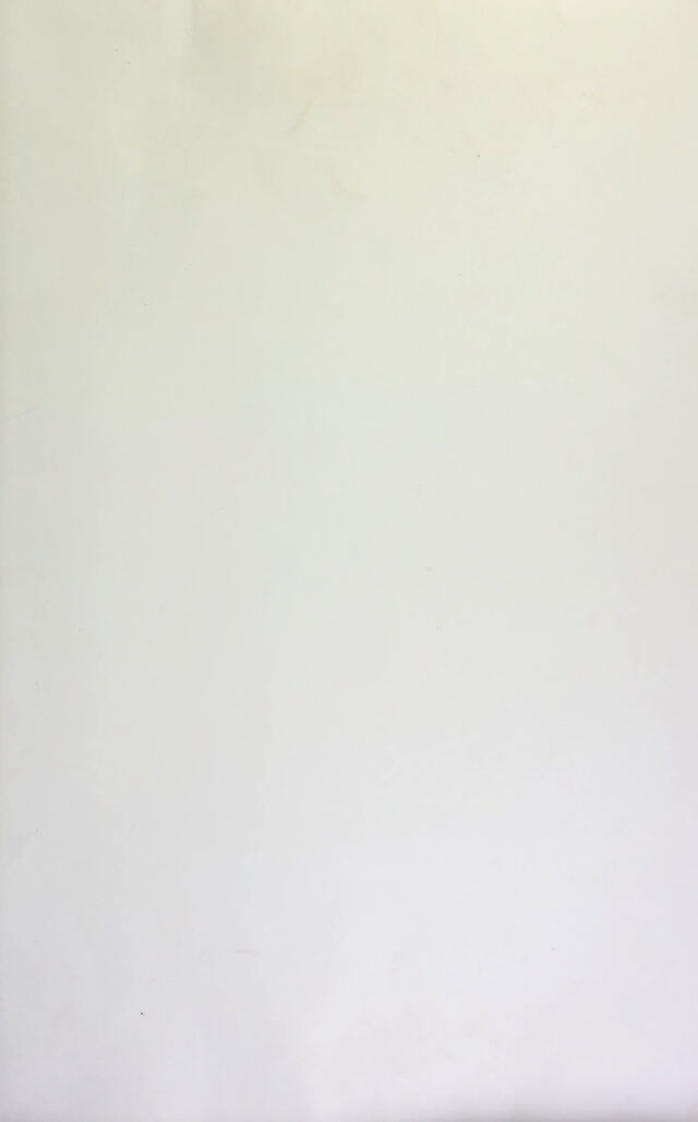 digitised image 1