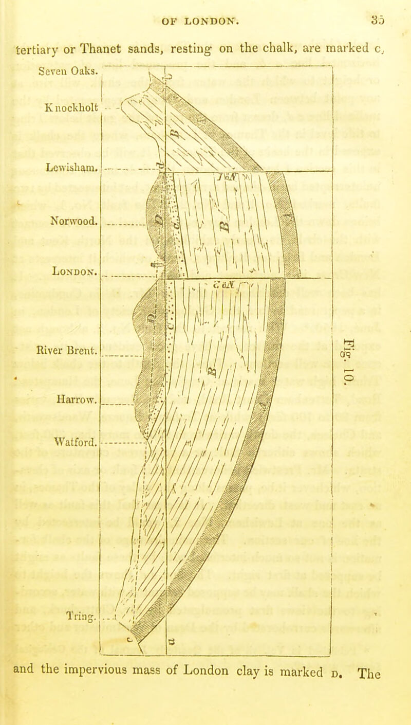 tertiary or Thanet sands, resting on the chalk, are marked c, Seven Oaks K nockholt • -(^ Lewisham. Norwood. London, River Brent, Harrow. Watford. Trins. and the impervious mass of London clay is marked d. The