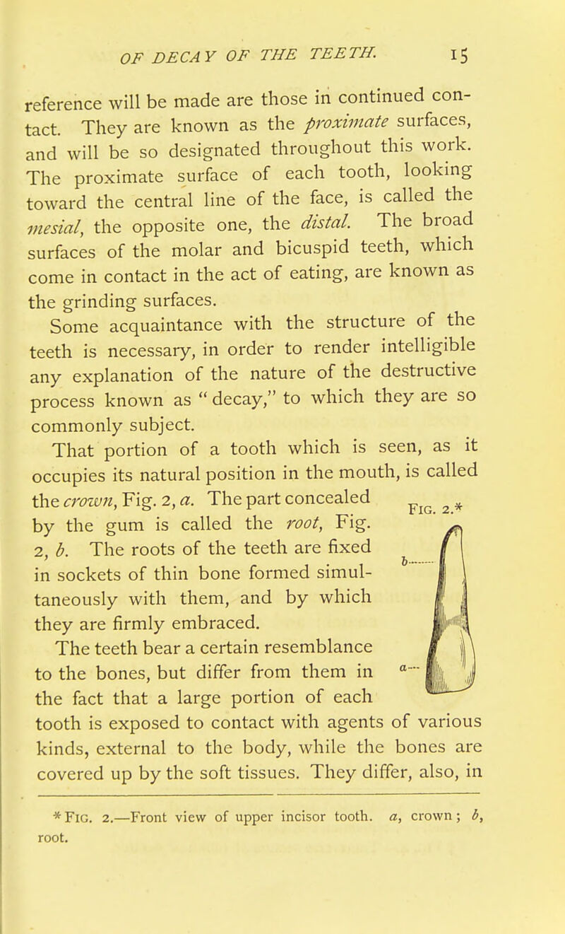 reference will be made are those in continued con- tact. They are known as the proximate surfaces, and will be so designated throughout this work. The proximate surface of each tooth, looking toward the central line of the face, is called the mesial, the opposite one, the distal. The broad surfaces of the molar and bicuspid teeth, which come in contact in the act of eating, are known as the grinding surfaces. Some acquaintance with the structure of the teeth is necessary, in order to render intelligible any explanation of the nature of the destructive process known as  decay, to which they are so commonly subject. That portion of a tooth which is seen, as it occupies its natural position in the mouth, is called the crown, Fig. 2, a. The part concealed by the gum is called the root, Fig. 2, b. The roots of the teeth are fixed in sockets of thin bone formed simul- taneously with them, and by which they are firmly embraced. The teeth bear a certain resemblance to the bones, but differ from them in a~ the fact that a large portion of each tooth is exposed to contact with agents of various kinds, external to the body, while the bones are covered up by the soft tissues. They differ, also, in * Fig. 2.—Front view of upper incisor tooth, a, crown ; b, root.