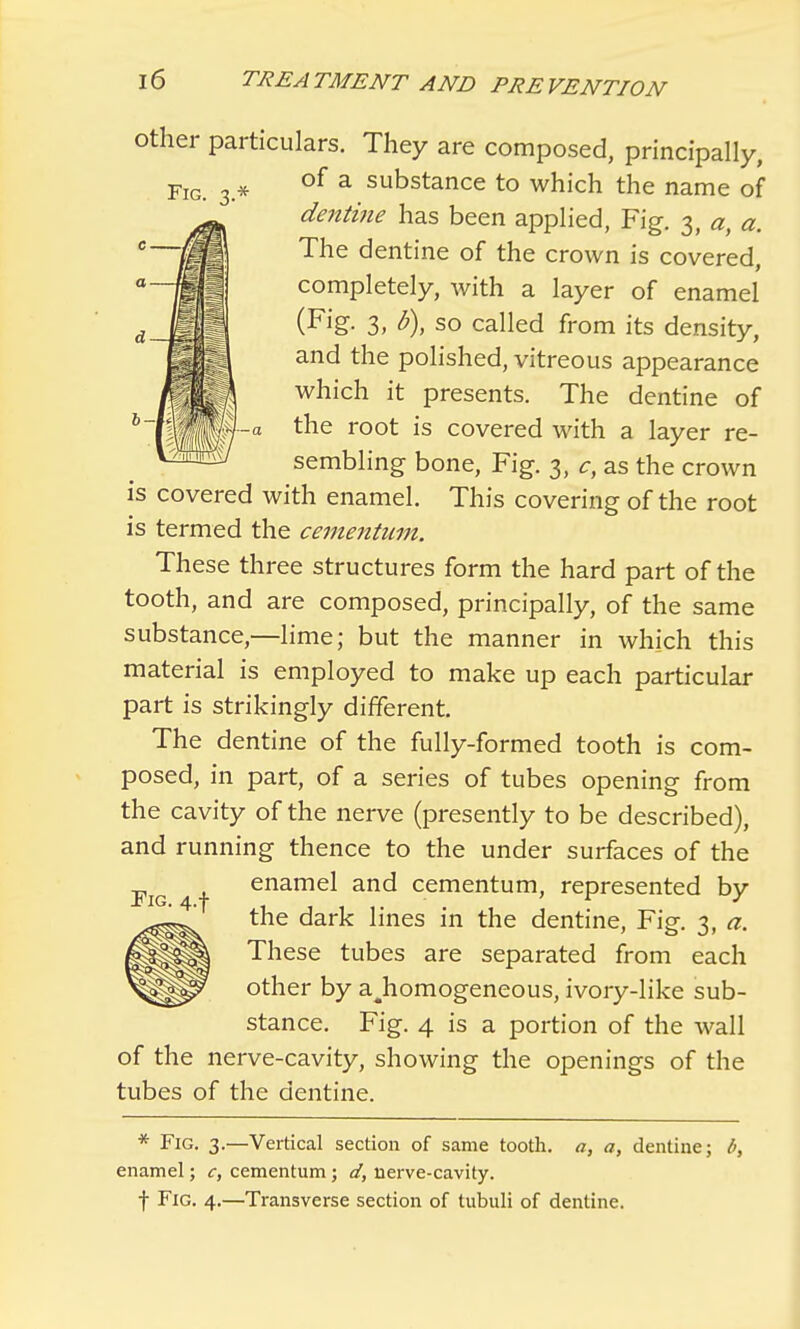 other particulars. They are composed, principally, m of a substance to which the name of dentine has been applied, Fig. 3, a, a. The dentine of the crown is covered, completely, with a layer of enamel (Fig- 3. b\ so called from its density, and the polished, vitreous appearance which it presents. The dentine of -a the root is covered with a layer re- sembling bone, Fig. 3, c, as the crown is covered with enamel. This covering of the root is termed the cementum. These three structures form the hard part of the tooth, and are composed, principally, of the same substance,—lime; but the manner in which this material is employed to make up each particular part is strikingly different. The dentine of the fully-formed tooth is com- posed, in part, of a series of tubes opening from the cavity of the nerve (presently to be described), and running thence to the under surfaces of the enamel and cementum, represented by the dark lines in the dentine, Fig. 3, a. These tubes are separated from each other by ajiomogeneous, ivory-like sub- stance. Fig. 4 is a portion of the wall of the nerve-cavity, showing the openings of the tubes of the dentine. * Fig. 3.—Vertical section of same tooth. a, a, dentine; b, enamel; c, cementum; d, nerve-cavity, f Fig. 4.—Transverse section of tubuli of dentine.