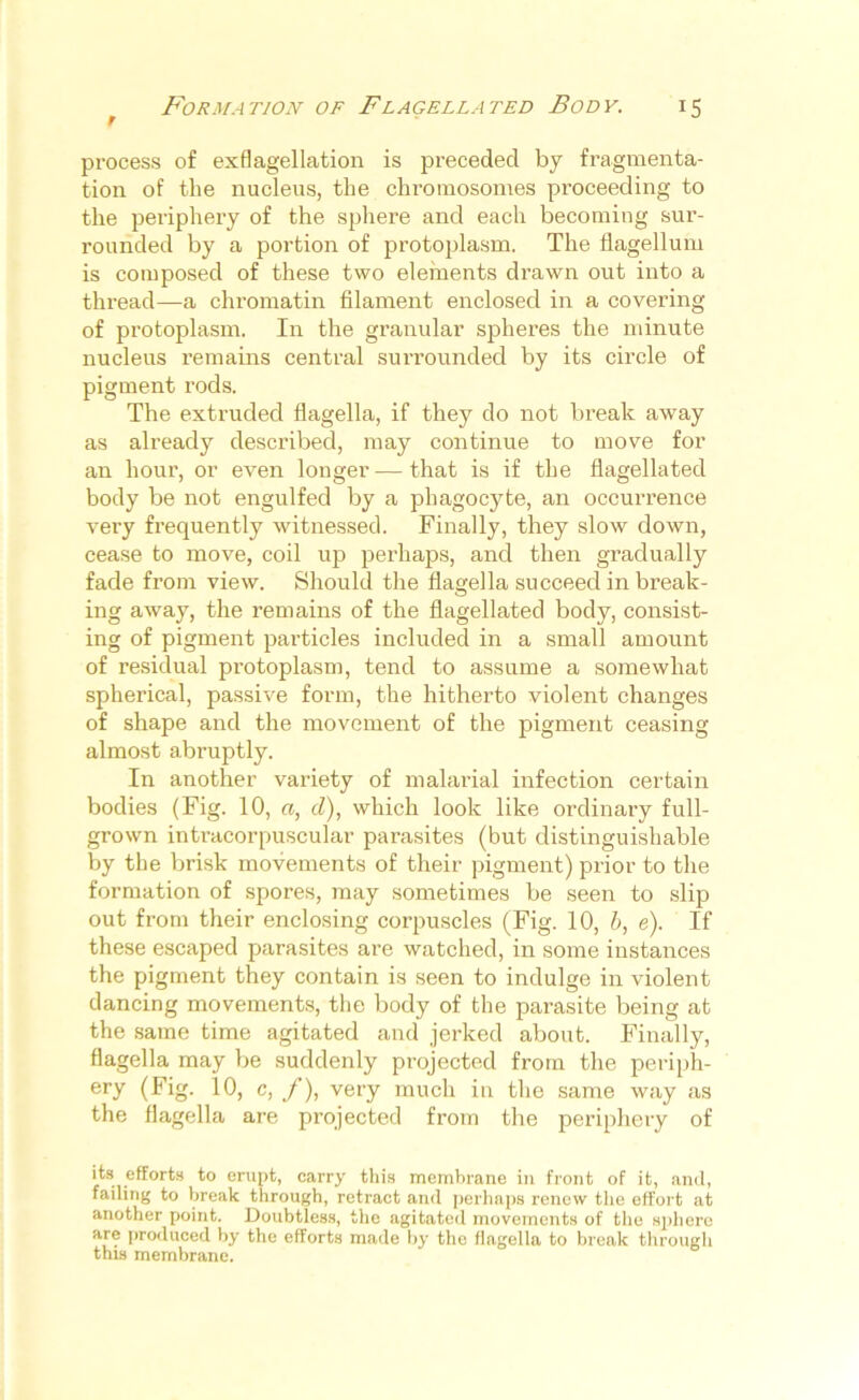 process of exflagellation is preceded by fragmenta- tion of the nucleus, the chromosomes proceeding to the periphery of the sphere and each becoming sur- rounded by a portion of protoplasm. The flagellum is composed of these two elements drawn out into a thread—a chromatin filament enclosed in a covering of protoplasm. In the granular spheres the minute nucleus remains central surrounded by its circle of pigment rods. The extruded flagella, if they do not break away as already described, may continue to move for an hour, or even longer — that is if the flagellated body be not engulfed by a phagocyte, an occurrence very frequently witnessed. Finally, they slow down, cease to move, coil up perhaps, and then gradually fade from view. Should the flagella succeed in break- ing away, the remains of the flagellated body, consist- ing of pigment particles included in a small amount of residual protoplasm, tend to assume a somewhat spherical, passive form, the hitherto violent changes of shape and the movement of the pigment ceasing almost abruptly. In another variety of malarial infection certain bodies (Fig. 10, a, d), which look like ordinary full- grown intracorpuscular parasites (but distinguishable by the brisk movements of their pigment) prior to the formation of spores, may sometimes be seen to slip out from their enclosing corpuscles (Fig. 10, b, e). If these escaped parasites are watched, in some instances the pigment they contain is seen to indulge in violent dancing movements, the body of the parasite being at the same time agitated and jerked about. Finally, flagella may be suddenly projected from the periph- ery (Fig. 10, c, f), very much in the same way as the flagella are projected from the periphery of its efforts to erupt, carry this membrane in front of it, and, failing to break through, retract and perhaps renew the effort at another point. Doubtless, the agitated movements of the sphere are produced by the efforts made by the flagella to break through this membrane.