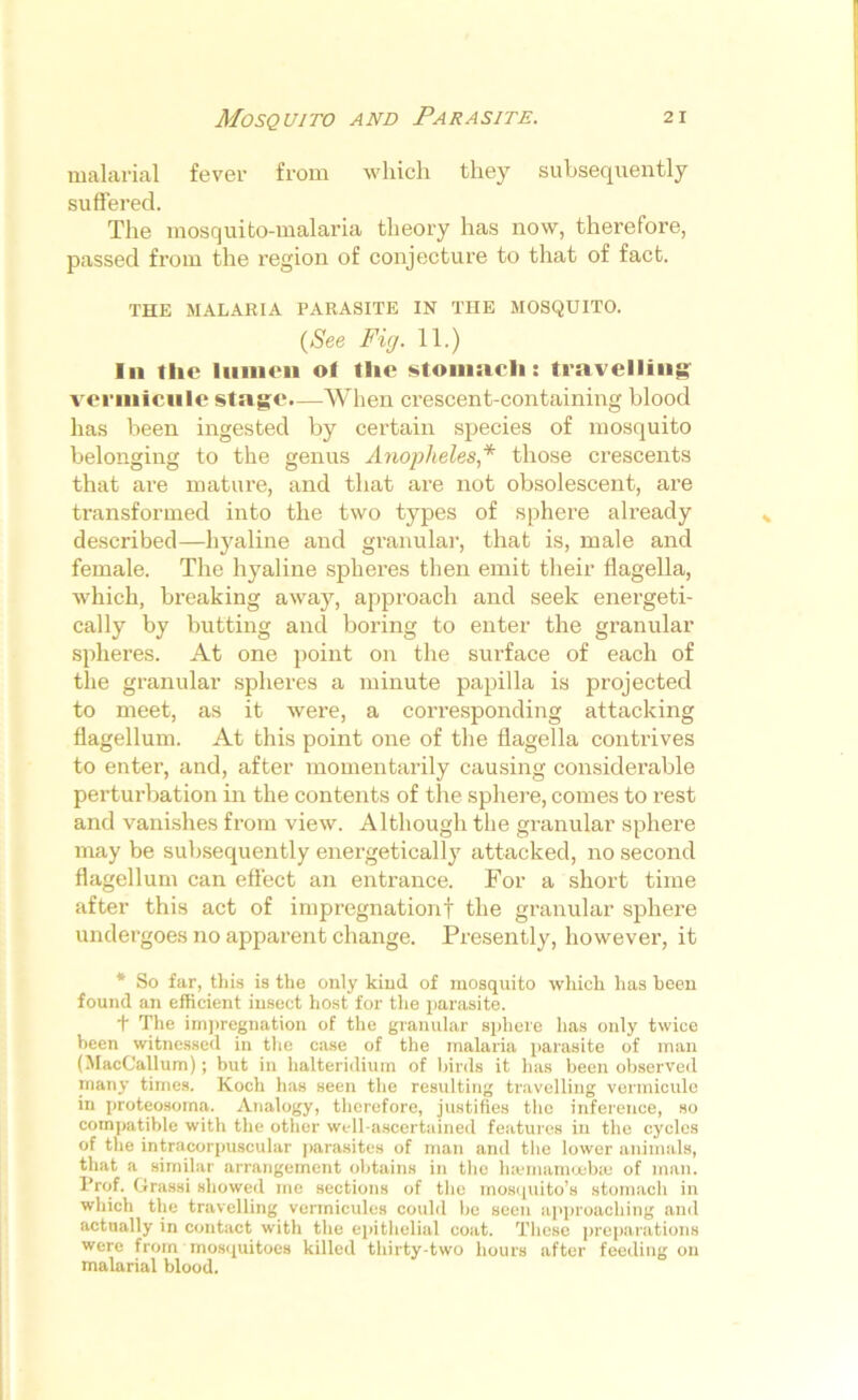 malarial fever from which they subsequently suffered. The mosquito-malaria theory has now, therefore, passed from the region of conjecture to that of fact. THE MALARIA PARASITE IN THE MOSQUITO. (See Fig. 11.) In the liiineii of flic stomach: travelling verinicule stage.—When crescent-containing blood has been ingested by certain species of mosquito belonging to the genus Anopheles * those crescents that are mature, and that are not obsolescent, are transformed into the two types of sphere already described—hyaline and granular, that is, male and female. The hyaline spheres then emit their flagella, which, breaking away, approach and seek energeti- cally by butting ancl boring to enter the granular spheres. At one point on the surface of each of the granular spheres a minute papilla is projected to meet, as it were, a corresponding attacking flagellum. At this point one of the flagella contrives to enter, and, after momentarily causing considerable perturbation in the contents of the sphere, comes to rest and vanishes from view. Although the granular sphere may be subsequently energetically attacked, no second flagellum can effect an entrance. For a short time after this act of impregnation f the granular sphere undergoes no apparent change. Presently, however, it * So far, this is the only kind of mosquito which has been found an efficient insect host for the parasite. t The impregnation of the granular sphere has only twice been witnessed in the case of the malaria parasite of man (MacCallum); but in halteridium of birds it has been observed many times. Koch has seen the resulting travelling vermicule in proteosoma. Analogy, therefore, justifies the inference, so compatible with the other well-ascertained features in the cycles of the intracorpuscular parasites of man and the lower animals, that a similar arrangement obtains in the hsemamcebae of man. I'rof. Grassi showed me sections of the mosquito’s stomach in which the travelling vermiculcs could be seen approaching and actually in contact with the epithelial coat. These preparations were from mosquitoes killed thirty-two hours after feeding on malarial blood.