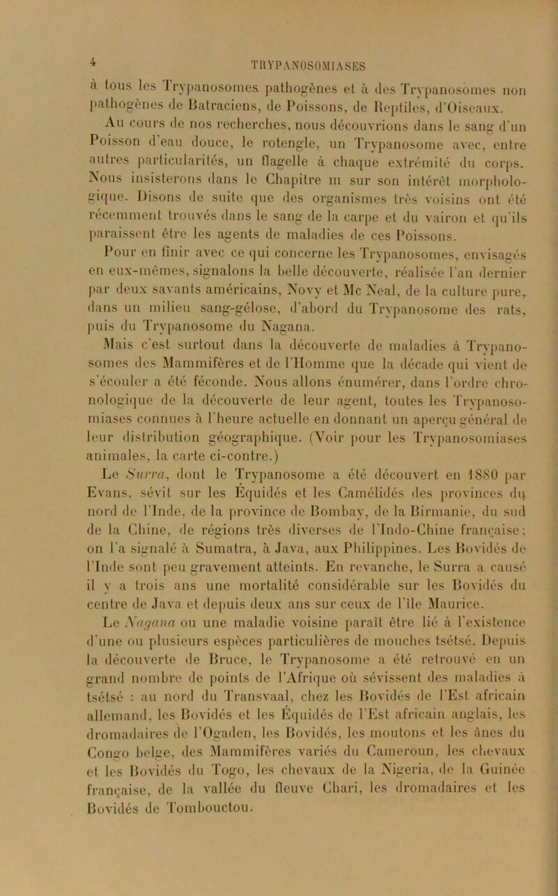 fi tous les trypanosomes pathogènes et à des Trypanosomes non pathogènes de Batraciens, de Poissons, de Reptiles, d’Oiseaux. Au cours de nos recherches, nous découvrions dans le sang d’un Poisson d eau douce, le rotengle, un Trypanosome avec, entre autres particularités, un flagelle à chaque extrémité du corps. Nous insisterons dans le Chapitre ni sur son intérêt morpholo- gique. Disons de suite que des organismes très voisins ont été récemment trouvés dans le sang de la carpe et du vairon et qu'ils paraissent être les agents de maladies de ces Poissons. Pour en finir avec ce qui concerne les Trypanosomes, envisagés en eux-mêmes, signalons la belle découverte, réalisée l'an dernier par deux savants américains, Novy et Mc Neal, de la culture pure, dans un milieu sang-gélose, d’abord du Trypanosome des rats, puis du Trypanosome du Nagana. Mais c’est surtout dans la découverte de maladies à Trypano- somes des Mammifères et de l’Homme que la décade qui vient de s’écouler a été féconde. Nous allons énumérer, dans l’ordre chro- nologique de la découverte de leur agent, toutes les Trypanoso- miases connues à l’heure actuelle en donnant un aperçu général de leur distribution géographique. (Voir pour les Trypanosomiases animales, la carte ci-contre.) Le Surra, dont le Trypanosome a été découvert en 1880 par Evans, sévit sur les Equidés et les Camélidés des provinces du nord de l’Inde, île la province de Bombay, de la Birmanie, du sud de la Chine, de régions très diverses de l’Indo-Chine française; on l’a signalé à Sumatra, à Java, aux Philippines. Les Bovidés de l’Inde sont peu gravement atteints. En revanche, le Surra a causé il y a trois ans une mortalité considérable sur les Bovidés du centre de Java et depuis deux ans sur ceux de 1 île Maurice. Le Xagana ou une maladie voisine parait être lié à l’existence d’une ou plusieurs espèces particulières de mouches tsétsé. Depuis la découverte de Bruce, le Trypanosome a été retrouvé en un grand nombre de points de l’Afrique où sévissent des maladies à tsétsé : au nord du Transvaal, chez les Bovidés de l’Est africain allemand, les Bovidés et les Equidés de l’Est africain anglais, les dromadaires de l’Ogaden, les Bovidés, les moutons et les ânes du Congo belge, des Mammifères variés du Cameroun, les chevaux et les Bovidés du Togo, les chevaux de la Nigeria, de la Guinée française, de la vallée du fleuve Chari, les dromadaires et les Bovidés de Tombouctou.