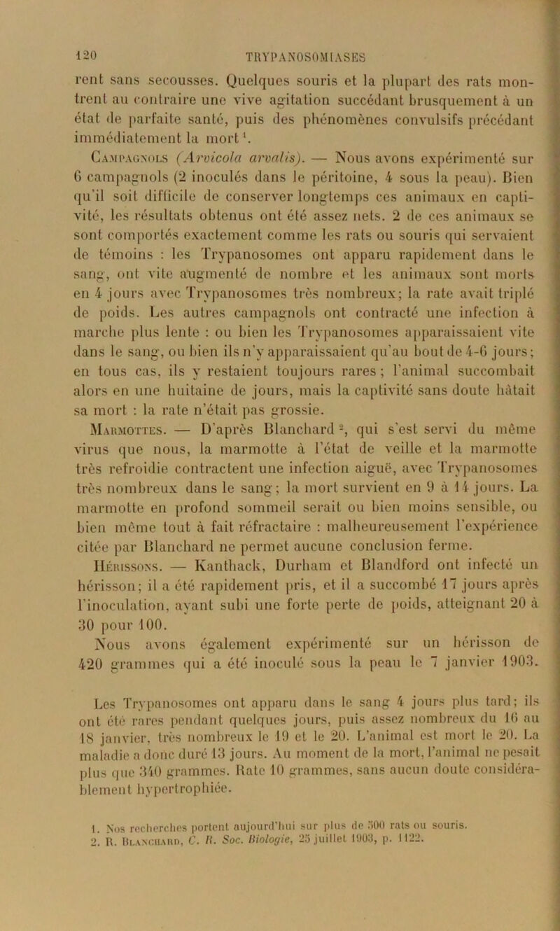 rent sans secousses. Quelques souris et la plupart des rats mon- trent au contraire une vive agitation succédant brusquement à un état de parfaite santé, puis des phénomènes convulsifs précédant immédiatement la mort *. Campagnols (Arvicola arvalis). — Nous avons expérimenté sur G campagnols (2 inoculés dans le péritoine, 4 sous la peau). Bien qu’il soit difficile de conserver longtemps ces animaux en capti- vité, les résultats obtenus ont été assez nets. 2 de ces animaux se sont comportés exactement comme les rats ou souris qui servaient de témoins : les Trypanosomes ont apparu rapidement dans le sang, ont vite augmenté de nombre et les animaux sont morts en 4 jours avec Trypanosomes très nombreux; la rate avait triplé de poids. Les autres campagnols ont contracté une infection à marche plus lente : ou bien les Trypanosomes apparaissaient vite dans le sang, ou bien ils n’y apparaissaient qu’au bout de 4-G jours; en tous cas, ils y restaient toujours rares; l’animal succombait alors en une huitaine de jours, mais la captivité sans doute hâtait sa mort : la rate n’était pas grossie. Marmottes. — D’après Blanchard -, qui s’est servi du même virus que nous, la marmotte à l’état de veille et la marmotte très refroidie contractent une infection aiguë, avec Trypanosomes très nombreux dans le sang; la mort survient en fi à 14 jours. La marmotte en profond sommeil serait ou bien moins sensible, ou bien même tout à fait réfractaire : malheureusement l’expérience citée par Blanchard ne permet aucune conclusion ferme. Hérissons. — Kanthack, Durham et Blandford ont infecté un hérisson; il a été rapidement pris, et il a succombé 17 jours après l’inoculation, ayant subi une forte perte de poids, atteignant 20 à 30 pour 100. Nous avons également expérimenté sur un hérisson de 420 grammes qui a été inoculé sous la peau le 7 janvier 1903. Les Trypanosomes ont apparu dans le sang 4 jours plus tard; ils ont été rares pendant quelques jours, puis assez nombreux du 10 au 18 janvier, très nombreux le 19 et le 20. L’animal est mort le 20. La maladie a donc duré 13 jours. Au moment de la mort, l’animal ne pesait plus que 340 grammes. Rate 10 grammes, sans aucun doute considéra- blement hypertrophiée. 1. Nos recherches portent aujourd'hui sur plus do 500 rats ou souris. 2. R. Blanchard, C. IL Soc. Biologie, 25 juillet 1903, p. 1122.