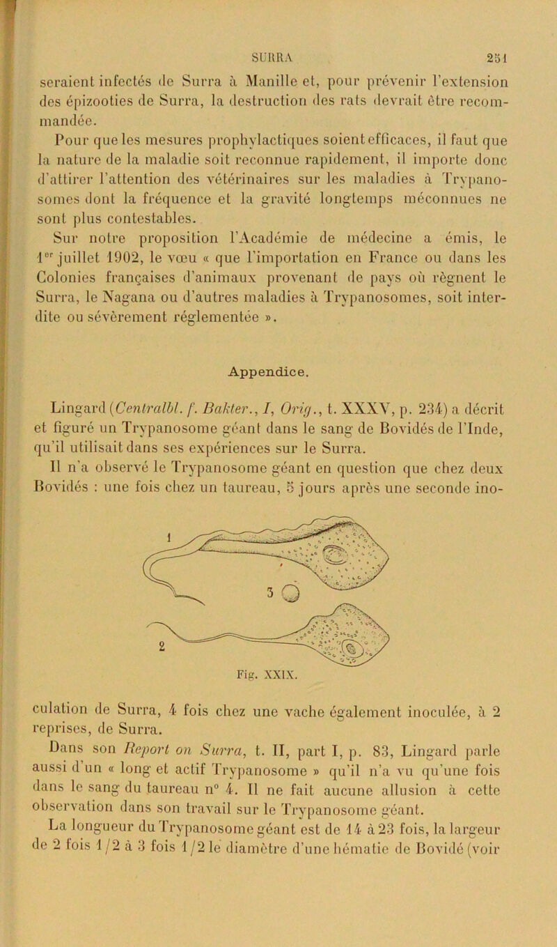 seraient infectés de Surra à Manille et, pour prévenir l’extension des épizooties de Surra, la destruction des rats devrait être recom- mandée. Pour que les mesures prophylactiques soient efficaces, il faut que la nature de la maladie soit reconnue rapidement, il importe donc d’attirer l’attention des vétérinaires sur les maladies à Trypano- somes dont la fréquence et la gravité longtemps méconnues ne sont plus contestables. Sur notre proposition l’Académie de médecine a émis, le lor juillet 1902, le vœu « que l’importation en France ou dans les Colonies françaises d’animaux provenant de pays où régnent le Surra, le Nagana ou d’autres maladies à Trypanosomes, soit inter- dite ou sévèrement réglementée ». Appendice. Lingard (Cenlralbl. /'. Bakter., /, Orig., t. XXXV, p. 234) a décrit et figuré un Trypanosome géant dans le sang de Bovidés de l’Inde, qu’il utilisait dans ses expériences sur le Surra. Il n’a observé le Trypanosome géant en question que chez deux Bovidés : une fois chez un taureau, 5 jours après une seconde ino- Fig. XXIX. culation de Surra, 4 fois chez une vache également inoculée, à 2 reprises, de Surra. Dans son Report on Surra, t. II, part I, p. 83, Lingard parle aussi d un « long et actif Trypanosome » qu’il n’a vu qu’une fois dans le sang du taureau n° 4. Il ne fait aucune allusion à cette observation dans son travail sur le Trypanosome géant. La longueur du Trypanosome géant est de 14 à 23 fois, la largeur