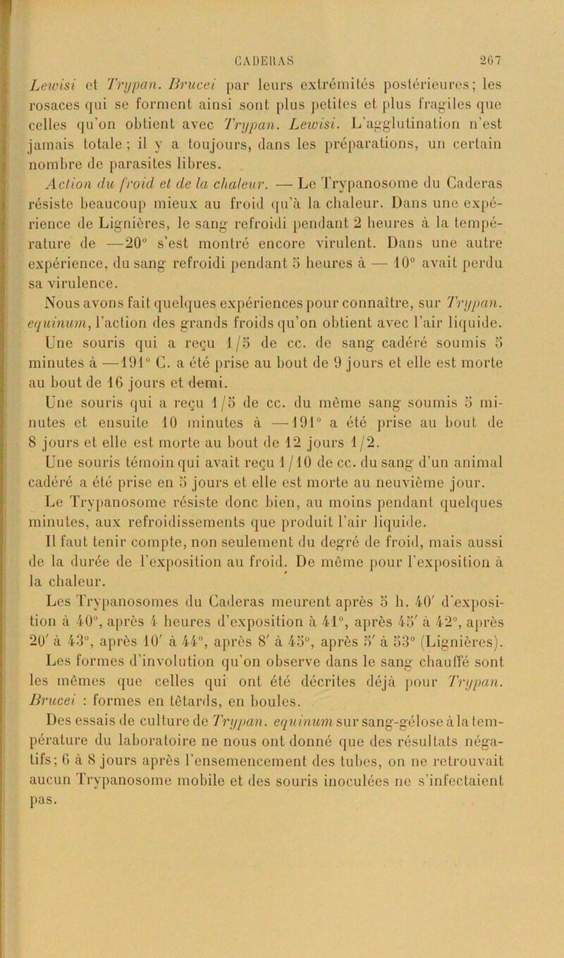 Lewisi et Try-pan. Brucei par leurs extrémités postérieures; les rosaces qui se forment ainsi sont plus petites et plus fragiles que celles qu’on obtient avec Trypan. Lewisi. L’agglutination n’est jamais totale ; il y a toujours, dans les préparations, un certain nombre de parasites libres. Action du froid et de la chaleur. — Le Trypanosome du Caderas résiste beaucoup mieux au froid qu’à la chaleur. Dans une expé- rience de Lignières, le sang refroidi pendant 2 heures à la tempé- rature de —20 s’est montré encore virulent. Dans une autre expérience, du sang refroidi pendant 5 heures à — 10° avait perdu sa virulence. Nous avons fait quelques expériences pour connaître, sur Trypan. equinum, l’action des grands froids qu’on obtient avec l’air liquide. Une souris qui a reçu 1/5 de cc. de sang cadéré soumis 5 minutes à —191° C. a été prise au bout de 9 jours et elle est morte au bout de 16 jours et demi. Une souris qui a reçu 1/5 de cc. du même sang soumis 5 mi- nutes et ensuite 10 minutes à —191 a été prise au bout de 8 jours et elle est morte au bout de 12 jours 1 /2. Une souris témoin qui avait reçu 1/10 de cc. du sang d’un animal cadéré a été prise en 5 jours et elle est morte au neuvième jour. Le Trypanosome résiste donc bien, au moins pendant quelques minutes, aux refroidissements que produit, l’air liquide. Il faut tenir compte, non seulement du degré de froid, mais aussi de la durée de l’exposition au froid. De même pour l’exposition à la chaleur. Les Trypanosomes du Caderas meurent après 5 h. 40' d’exposi- tion à 40, après 4 heures d’exposition à 41°, après 45' à 42°, après 20' à 43°, après 10' à 44, après 8' à 45, après 5' à 53° (Lignières). Les formes d’involution qu’on observe dans le sang chauffé sont les mêmes que celles qui ont été décrites déjà pour Trypan. Brucei : formes en têtards, en boules. Des essais de culturede Trypan. equinum sur sang-gélose à la tem- pérature du laboratoire ne nous ont donné que des résultats néga- tifs; 6 à 8 jours après l’ensemencement des tubes, on ne retrouvait aucun Trypanosome mobile et des souris inoculées ne s’infectaient pas.