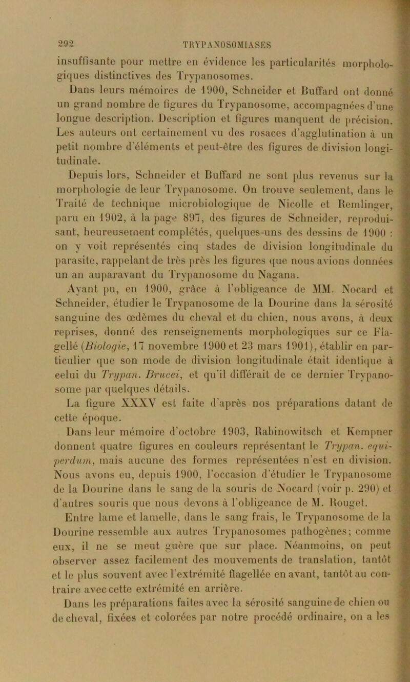 insuffisante pour mettre en évidence les particularités morpholo- giques distinctives des Trypanosomes. Dans leurs mémoires de 1900, Schneider et Buffard onl donné un grand nombre de ligures du Trypanosome, accompagnées d’une longue description. Description et figures manquent de précision. Les auteurs ont certainement vu des rosaces d’agglutination à un petit nombre d’éléments et peut-être des figures de division longi- tudinale. Depuis lors, Schneider et Bufîard ne sont plus revenus sur la morphologie de leur Trypanosome. On trouve seulement, dans le Traité de technique microbiologique de Nicolle et Bemlinger, paru en 1902, à la page 897, des figures de Schneider, reprodui- sant, heureusement complétés, quelques-uns des dessins de 1900 : on y voit représentés cinq stades de division longitudinale du parasite, rappelant de très près les figures que nous avions données un an auparavant du Trypanosome du Nagana. Ayant pu, en 1900, grâce à l’obligeance de MM. Nocard et Schneider, étudier le Trypanosome de la Dourine dans la sérosité sanguine des œdèmes du cheval et du chien, nous avons, à deux reprises, donné des renseignements morphologiques sur ce Fla- gellé {Biologie, 17 novembre 1900 et 23 mars 1901), établir en par- ticulier que son mode de division longitudinale était identique à celui du Trypan. Brucei, et qu’il différait de ce dernier Trypano- some par quelques détails. La figure XXXV esL faite d’après nos préparations datant de cette époque. Dans leur mémoire d’octobre 1903, Rabinowitsch et Kempner donnent quatre figures en couleurs représentant le Trypan. equi- perdum, mais aucune des formes représentées n’est en division. Nous avons eu, depuis 1900, l’occasion d’étudier le Trypanosome de la Dourine dans le sang de la souris de Nocard (voir p. 290) et d’autres souris que nous devons à l'obligeance de M. Rouget. Entre lame et lamelle, dans le sang frais, le Trypanosome de la Dourine ressemble aux autres Trypanosomes pathogènes; comme eux, il ne se meut guère que sur place. Néanmoins, on peut observer assez facilement des mouvements de translation, tantôt et le plus souvent avec l'extrémité flagellée en avant, tantôt au con- traire avec cette extrémité en arrière. Dans les préparations faites avec la sérosité sanguine de chien ou de cheval, fixées et colorées par notre procédé ordinaire, on a les