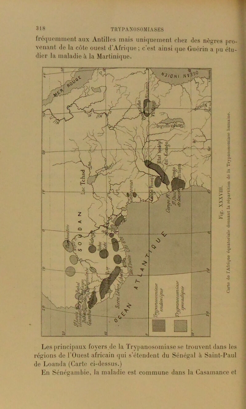 fréquemment aux Antilles mais uniquement chez des nègres pro- venant de la côte ouest d’Afrique; c’est ainsi que Guérin a pu étu- dier la maladie à la Martinique. Les principaux foyers de la Trypanosomiase se trouvent dans les régions de l’Ouest africain qui s’étendent du Sénégal à Saint-Paul de Loanda (Carte ci-dessus.) En Sénégambie, la maladie est commune dans la Casamance et