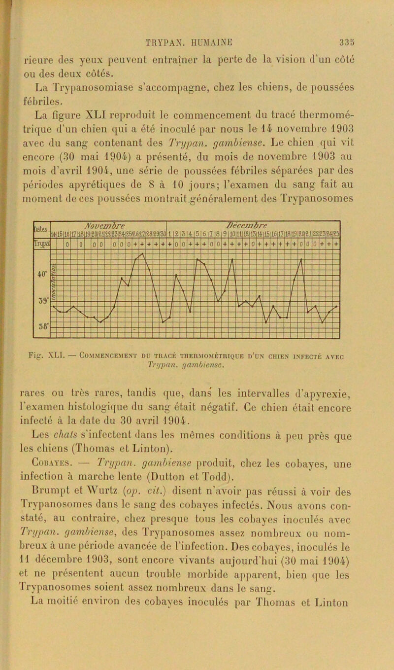 rieure des yeux peuvent entraîner la perte de la vision d’un côté ou des deux côtés. La Trypanosomiase s’accompagne, chez les chiens, de poussées fébriles. La figure XLI reproduit le commencement du tracé thermomé- trique d’un chien qui a été inoculé par nous le 14 novembre 1903 avec du sang contenant des Trypan. gambiense. Le chien qui vit encore (30 mai 1904) a présenté, du mois de novembre 1903 au mois d’avril 1904, une série de poussées fébriles séparées par des périodes apyrétiques de 8 à 10 jours; l’examen du sang fait au moment de ces poussées montrait généralement des Trypanosomes Mes H 15 16 17 18 Noi 19120 U m II h 23 rC 2412512.6(22 28 129 30 l 2 3 41516|2 8 J. 9 bec 10111 °7i 12 ni 13 14 c 15 16 17 18 19120 21 22 23 24 25 0 0 0 0 0 0 0 + + + + |± + 0 0 + 1+1 + 0 0 + + + + 0 + + + + + + 0 0 0 + + + 40' 39' 38' — — — TT —rî* t - P r \ \ i- \ ; II /' F g \ J / —1 V. Y t — U $ -1 \ l-j F L — A h ■S r V V A — _ \? A -1 i v s L J / *■ i\/ y r - _L Fig. XLI. — Commencement du tracé thermométrique d’un chien infecté avec Trypan. gambiense. rares ou très rares, tandis que, dans' les intervalles d’apyrexie, l’examen histologique du sang était négatif. Ce chien était encore infecté à la date du 30 avril 1904. Les chats s'infectent dans les mêmes conditions à peu près que les chiens (Thomas et Linton). Cobayes. — Trypan. gambiense produit, chez les cobayes, une infection à marche lente (Dutton et Todd). Brumpt et Wurtz {op. cil.) disent n’avoir pas réussi à voir des Trypanosomes dans le sang des cobayes infectés. Nous avons con- staté, au contraire, chez presque tous les cobayes inoculés avec Trypan. gambiense, des Trypanosomes assez nombreux ou nom- breux à une période avancée de 1 infection. Des cobayes, inoculés le 11 décembre 1903, sont encore vivants aujourd’hui (30 mai 1904) et ne présentent aucun trouble morbide apparent, bien que les Trypanosomes soient assez nombreux dans le sang. La moitié environ des cobayes inoculés par Thomas et Linton