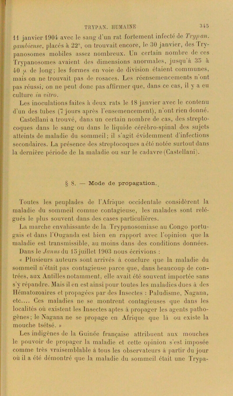 a 11 janvier 1901 avec le sang d’un rat fortement infecté de 1 rypan. gambiense, placés à 22°, on trouvait encore, le 30 janvier, des 1 ry- panosomes mobiles assez nombreux. Un certain nombre de ces Trypanosomes avaient des dimensions anormales, jusqu à 35 à 40 u. de long; les formes en voie de division étaient communes, mais on ne trouvait pas de rosaces. Les réensemencements n ont pas réussi, on ne peut donc pas affirmer que, dans ce cas, il y a eu culture in vitro. Les inoculations faites à deux rats le 18 janvier avec le contenu d’un des tubes (7 jours après l’ensemencement), n’ont rien donné. Castellani a trouvé, dans un certain nombre de cas, des strepto- coques dans le sang ou dans le liquide cérébro-spinal des sujets atteints de maladie du sommeil; il s’agit évidemment d'infections secondaires. La présence des streptocoques a été notée surtout dans la dernière période de la maladie ou sur le cadavre (Castellani). § 8. — Mode de propagation. Toutes les peuplades de l’Afrique occidentale considèrent la maladie du sommeil comme contagieuse, les malades sont relé- gués le plus souvent dans des cases particulières. La marche envahissante de la Trypanosomiase au Congo portu- gais et dans l’Ouganda est bien en rapport avec l’opinion que la maladie est transmissible, au moins dans des conditions données. Dans Je Janus du 15 juillet 1903 nous écrivions : « Plusieurs auteurs sont arrivés à conclure que la maladie du sommeil n’était pas contagieuse parce que, dans beaucoup de con- trées, aux Antilles notamment, elle avait été souvent importée sans s’y répandre. Mais il en est ainsi pour toutes les maladies dues à des Hématozoaires et propagées par des Insectes : Paludisme, Nagana, etc.... Ces maladies ne se montrent contagieuses que dans les localités où existent les Insectes aptes à propager les agents patho- gènes; le Nagana ne se propage en Afrique que là ou existe la mouche tsétsé. » Les indigènes de la Guinée française attribuent aux mouches le pouvoir de propager la maladie et cette opinion s’est imposée comme très vraisemblable à tous les observateurs à partir du jour où il a été démontré que la maladie du sommeil était une Trypa-