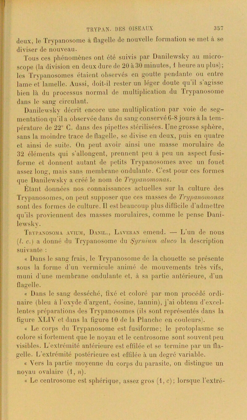 deux, le Trypanosome à flagelle de nouvelle formation se met à se diviser de nouveau. Tous ces phénomènes ont été suivis par Danilewsky au micro- scope (la division en deux dure de 20 à 30 minutes, 1 heure au plus) ; les Trypanosomes étaient observés en goutte pendante ou entre lame et lamelle. Aussi, doit-il rester un léger doute qu il s’agisse bien là du processus normal de multiplication du trypanosome dans le sang circulant. Danilewsky décrit encore une multiplication par voie de seg- mentation qu’il a observée dans du sang conservé 6-8 jours à la tem- pérature de 22° C. dans des pipettes stérilisées. Une grosse sphère, sans la moindre trace de flagelle, se divise en deux, puis en quatre et ainsi de suite. On peut avoir ainsi une masse morulaire de 32 éléments qui s’allongent, prennent peu à peu un aspect fusi- forme et donnent autant de petits Trypanosomes avec un fouet assez long, mais sans membrane ondulante. C’est pour ces formes que Danilewsky a créé le nom de Tnjpanomonas. Étant données nos connaissances actuelles sur la culture des Trypanosomes, on peut supposer que ces masses de Tnjpanomonas sont des formes de culture. Il est beaucoup plus difficile d’admettre qu’ils proviennent des masses morulaires, comme le pense Dani- lewsky. Trypanosoma aviu.m, Dan il., Laveran emend. — L’un de nous (/. c.) a donné du Trypanosome du Çjrnium aluco la description suivante : « Dans le sang frais, le Trypanosome de la chouette se présente sous la forme d’un vermicule animé de mouvements très vifs, muni d’une membrane ondulante et, à sa partie antérieure, d’un flagelle. « Dans le sang desséché, fixé et coloré par mon procédé ordi- naire (bleu à l’oxyde d'argent, éosine, tannin), j’ai obtenu d’excel- lentes préparations des Trypanosomes (ils sont représentés dans la figure XLIY et dans la figure 10 de la Planche en couleurs). « Le corps du Trypanosome est fusiforme; le protoplasme se colore si fortement que le noyau et le centrosome sont souvent peu visibles. L’extrémité antérieure est effilée et se termine par un fla- gelle. L’extrémité postérieure est effilée à un degré variable. « Vers la partie moyenne du corps du parasite, on distingue un noyau ovalaire (l,n). « Le centrosome est sphérique, assez gros (1, c); lorsque l’extré-