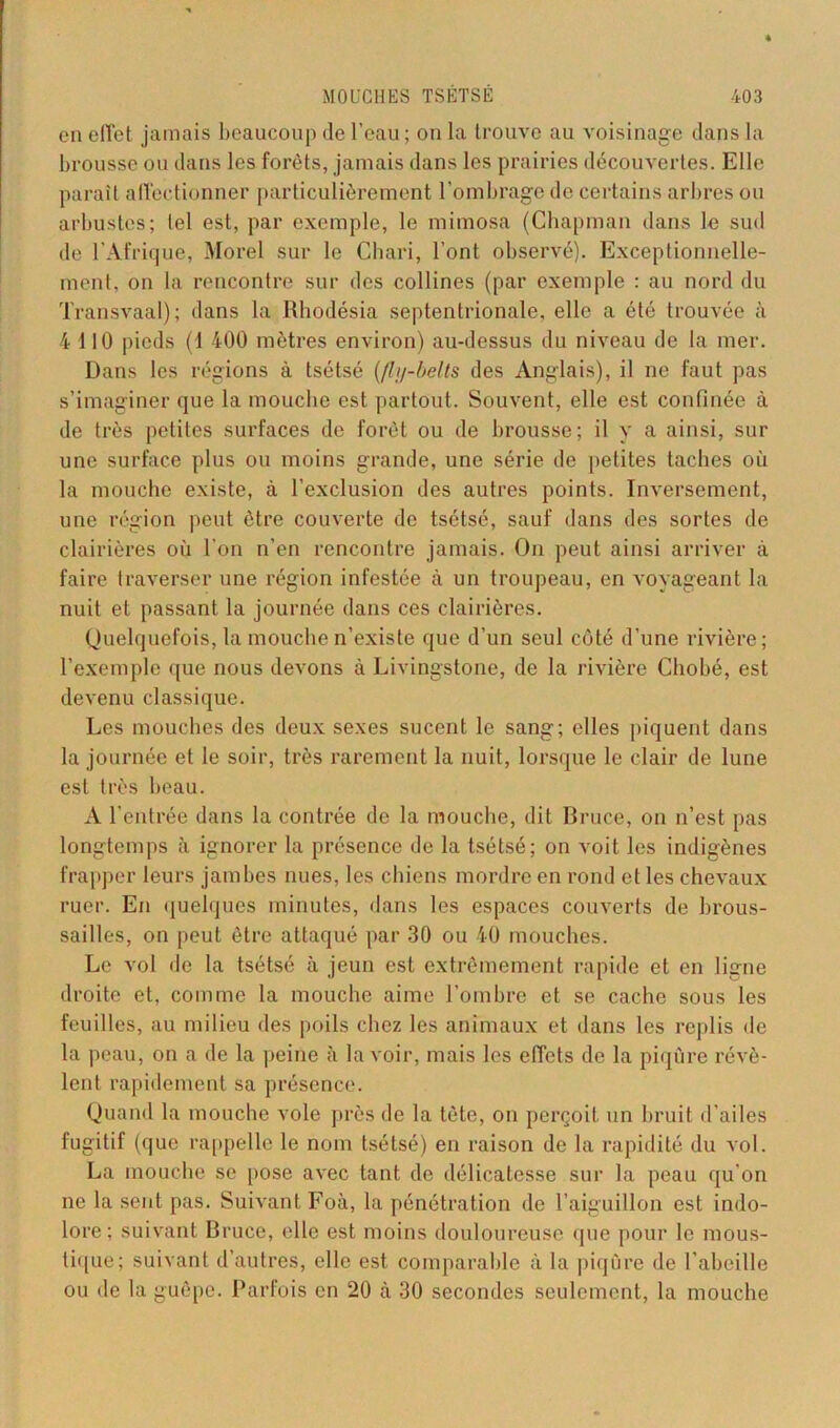 en effet jamais beaucoup de l’eau ; on la trouve au voisinage dans la brousse ou dans les forêts, jamais dans les prairies découvertes. Elle paraît affectionner particulièrement l’ombrage de certains arbres on arbustes; lel est, par exemple, le mimosa (Chapman dans le sud de l’Afrique, Morel sur le Chari, l’ont observé). Exceptionnelle- ment, on la rencontre sur des collines (par exemple : au nord du Transvaal); dans la Rhodésia septentrionale, elle a été trouvée à 4 110 pieds (1 400 mètres environ) au-dessus du niveau de la mer. Dans les régions à tsétsé (/!j/-belts des Anglais), il ne faut pas s’imaginer que la mouche est partout. Souvent, elle est confinée à de très petites surfaces de forêt ou de brousse; il y a ainsi, sur une surface plus ou moins grande, une série de petites taches où la mouche existe, à l’exclusion des autres points. Inversement, une région peut être couverte de tsétsé, sauf dans des sortes de clairières où l’on n’en rencontre jamais. On peut ainsi arriver à faire traverser une région infestée à un troupeau, en voyageant la nuit et passant la journée dans ces clairières. Quelquefois, la mouche n’existe que d’un seul côté d’une rivière; l’exemple que nous devons à Livingstone, de la rivière Chobé, est devenu classique. Les mouches des deux sexes sucent le sang; elles piquent dans la journée et le soir, très rarement la nuit, lorsque le clair de lune est très beau. A l’entrée dans la contrée de la mouche, dit Bruce, on n’est pas longtemps à ignorer la présence de la tsétsé; on voit les indigènes frapper leurs jambes nues, les chiens mordre en rond et les chevaux ruer. En quelques minutes, dans les espaces couverts de brous- sailles, on peut être attaqué par 30 ou 40 mouches. Le vol de la tsétsé à jeun est extrêmement rapide et en ligne droite et, comme la mouche aime l’ombre et se cache sous les feuilles, au milieu des poils chez les animaux et dans les replis de la peau, on a de la peine à lavoir, mais les effets de la piqûre révè- lent rapidement sa présence. Quand la mouche vole près de la tète, on perçoit un bruit d’ailes fugitif (que rappelle le nom tsétsé) en raison de la rapidité du vol. La mouche se pose avec tant de délicatesse sur la peau qu’on ne la sent pas. Suivant Foà, la pénétration de l’aiguillon est indo- lore; suivant Bruce, elle est moins douloureuse que pour le mous- tique; suivant d’autres, elle est comparable à la piqûre de l’abeille ou de la guêpe. Parfois en 20 à 30 secondes seulement, la mouche