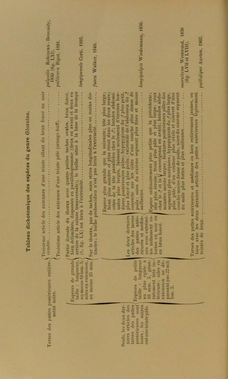 Tableau dichotomique des espèces du genre Glossina. Ci C p 3 X C G o 73 C X ~ êb •S c x c O G X C C Ci 3s c P ' c s o — ! ? i O —» c^ « c c Ci G G X ? ■s* > G c a s-ë 3 a ► X C X X C G 'O C-3 S S- C x G w C X Ci G £3 ■5 £ = ^ tes Ci O Ci ZI -Ci . 3 — X « ■ S «■ c a ! O C en C - -3 O 3 Ci S -C/ y; •2J g h$2 S H.-1 ~.î £ ■3»3 CJ X ~ •Ci X .3 G 2 S O 5 — -i O) 73 C. : e ; « en o Q (£• Ë to ■Zi g: 'E „ se é E t-~S3 t-. G c g c 9 H.S 60 c O c o CJ C — en Ci 73 X o 'x ?: O î X 3“ cfl O C • C O ^ W Zi p x t o O.-- r — « s « « à£CJ G Ex o « S2 ! G en x g. G «a o 73 *C S «fl E 2-J: ^ '3 G-*z G * .E o 73 — 3 .53 ’&E c E E o en tn .2 « t- eu .G ^ C5 Ec rf.s O 73 g X 3 o o E en a cj G.£3 x 3 C3 O 3 — Ci t- C G •- C/j A.tT'o.g iï s £“a = !■£ i-s- en 3 o «’fc-ë o c«o le! ^ *c o ,£ Cfi 33 3 • SSÆ °*o £ •SsS. ||s 60 0 S en 2 x E „2 G G — o 0-73 C o ti «fl -c. C *13 g, en ba 1 i-ë-g. o'Sb'ü § IIÜ C C*X G =:s .î ® G X « — ns *0 ‘8.8.1 £ £ S « s. - 3 G.— G e — •— -j i- ï- -, — X 3 -c «fl G X t E. r C C —p rî « » « ' 3 S — O S G ••* X i. X „r Ü •ë S, •Cj CJ «fl *3 X C< S tug —S t 01 t- h c « a > S “~J S’tog- a S 5 s «•= - Ss'.£---= ^ = t- „ Cj X X c. ' o x «fl- P* G .. 3 C - Z t - 3*P > ^ — 73 O O c >-S-- •33 Sjfr°8 a.c= = ~3 s*c.S * 3 o ■- | 3.»g # g R r“ £ x — -7 c ü-ic . 9 ter o « G O G O — *“ W fc, G » X o-g '.ES c •- ... -= 2 « — X • - S o 3 E .• = ît v, — x S a o £ “ m — . - . -ss S “ % 2 E « c o S V ■- SC3 3 |ïc e s-as- XXI I ' ' 3 «- g c 'G 9 o •E h C!g'£^.2'- z - c 3 » -^xx^ — CG - sj - 3 2Î 5 «fl > S 3 -3 -3 t- — G c. “ 'E «a F «a x E 3) u «2 ^ • - g 9 CCe's- GG-3 C) = •-•£ c £•£•■= w u j- w X m •• G G p x - CL x CJ S° -*=5 Tl : ri — ..Ce. • C Ci G W — C. L— 'Ti .— X ^ c E * - i E g c g « “ S ■= S X = Go - .3 x g.- C •— - 3 c G • x en —^1 x .* t- i 1 C O i Ci ~ 73 X x G. E «fl ï- X - 3 Ü x .3 3 •— ^ / ~ —. - — i G X 1-73 r — — e cr .zi u x t- ' c « a ? s a = 3.Ï É S'S c £=—= = C c o x C Ci Cj C §.? 60 c x G — P O — 73 O ;0 _ O) «? ■ —. —» -3 33 = 2 G X £ c. Ei G^3 : -9 .Ex ~ • *~ru- G — O t -s G E 2 ^ x “ - G *C 'CJ *G- ’5*o— c 2* cî a. . i ■ “ _G —’ *CJ _ C-J7 X 2s .1 s fc. 73 11 X 73 ë A 5 c c^ G G. “• x 2 O CJ 9 73 G C G x X -c CJ — —* C.S B