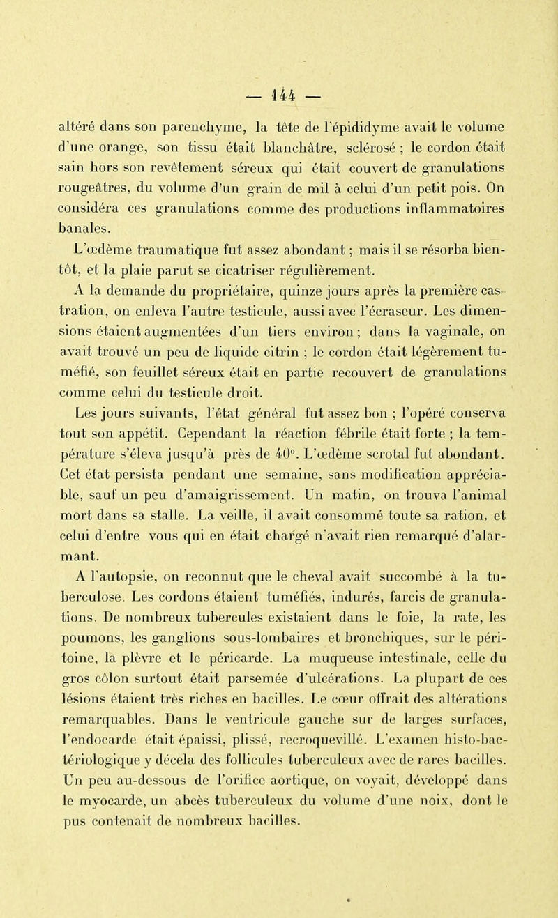 altéré dans son parenchyme, la tête de l'épididyme avait le volume d'une orange, son tissu était blanchâtre, sclérosé ; le cordon était sain hors son revêtement séreux qui était couvert de granulations rougeâtres, du volume d'un grain de mil à celui d'un petit pois. On considéra ces granulations comme des productions inflammatoires banales. L'œdème traumatique fut assez abondant ; mais il se résorba bien- tôt, et la plaie parut se cicatriser régulièrement. A la demande du propriétaire, quinze jours après la première cas tration, on enleva l'autre testicule, aussi avec l'écraseur. Les dimen- sions étaient augmentées d'un tiers environ; dans la vaginale, on avait trouvé un peu de liquide citrin ; le cordon était légèrement tu- méfié, son feuillet séreux était en partie recouvert de granulations comme celui du testicule droit. Les jours suivants, l'état général fut assez bon ; l'opéré conserva tout son appétit. Cependant la réaction fébrile était forte ; la tem- pérature s'éleva jusqu'à près de 40°. L'œdème scrotal fut abondant. Cet état persista pendant une semaine, sans modification apprécia- ble, sauf un peu d'amaigrissement. Un matin, on trouva l'animal mort dans sa stalle. La veille, il avait consommé toute sa ration, et celui d'entre vous qui en était chargé n'avait rien remarqué d'alar- mant. A l'autopsie, on reconnut que le cheval avait succombé à la tu- berculose. Les cordons étaient tuméfiés, indurés, farcis de granula- tions. De nombreux tubercules existaient dans le foie, la rate, les poumons, les ganglions sous-lombaires et bronchiques, sur le péri- toine, la plèvre et le péricarde. La muqueuse intestinale, celle du gros côlon surtout était parsemée d'ulcérations. La plupart de ces lésions étaient très riches en bacilles. Le cœur offrait des altérations remarquables. Dans le ventricule gauche sur de larges surfaces, l'endocarde était épaissi, plissé, recroquevillé. L'examen histo-bac- tériologique y décela des follicules tuberculeux avec de rares bacilles. Un peu au-dessous de l'orifice aortique, on voyait, développé dans le myocarde, un abcès tuberculeux du volume d'une noix, dont le pus contenait de nombreux bacilles.