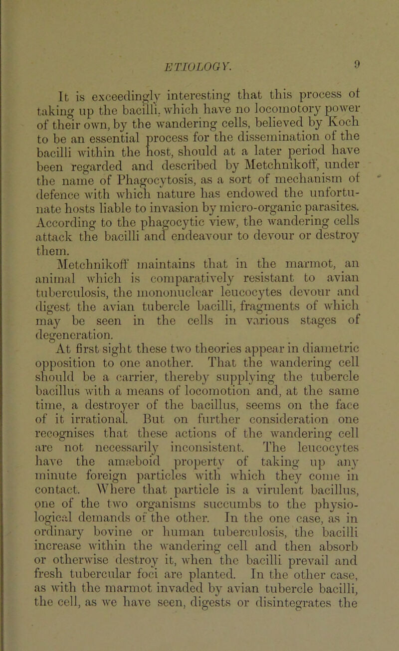 It is exceedingly interesting that this process ot taking up the baciiln which have no locomotory power of their own, by the wandering cells, believed by Koch to be an essential process for the dissemination of the bacilli within the host, should at a later period have been regarded and described by Metchnikoff, under the name of Phagocytosis, as a sort of mechanism of defence with which nature has endowed the unfortu- nate hosts liable to invasion by micro-organic parasites. According to the phagocytic view, the wandering cells attack the bacilli and endeavour to devour or destroy them. Metchnikoff maintains that in the marmot, an animal which is comparatively resistant to avian tuberculosis, the mononuclear leucocytes devour and digest the avian tubercle bacilli, fragments of which may be seen in the cells in various stages of degeneration. At first sight these two theories appear in diametric opposition to one another. That the wandering cell should be a carrier, thereby supplying the tubercle bacillus with a means of locomotion and, at the same time, a destroyer of the bacillus, seems on the face of it irrational. But on further consideration one recognises that these actions of the wandering cell are not necessarily inconsistent. The leucocytes have the amieboid property of taking up an}’ minute foreign particles with which they come in contact. Where that particle is a virulent bacillus, one of the two organisms succumbs to the physio- logical demands of the other. In the one case, as in ordinary bovine or human tuberculosis, the bacilli increase within the wandering cell and then absorb or otherwise destroy it, when the bacilli prevail and fresh tubercular foci are planted. In the other case, as with the marmot invaded by avian tubercle bacilli, the cell, as we have seen, digests or disintegrates the