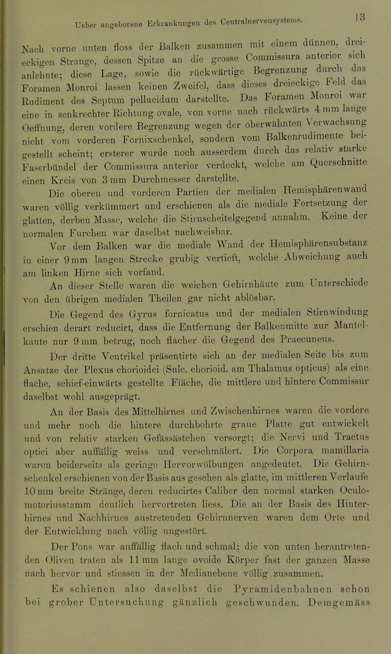 Nach vorne unten floss der Balken zusammen mit einem dünnen, drei- eckigen Strange, dessen Spitze an die grosse Commissura anterior sich anlehnte; diese Lage, sowie die rückwärtige Begrenzung durch das Foramen Monroi lassen keiuen Zweifel, dass dieses dreieckige Feld das Rudiment des Septum pellucidum darstellte. Das Foramen Monroi war eine in senkrechter Richtung ovale, von vorne nach rückwärts 4 mm lange OefFnung, deren vordere Begrenzung wegen der oberwähnten Verwachsung nicht vom vorderen Fornixschenkcl, sondern vom Balkenrudimente bei- gestellt scheint; ersterer wurde noch ausserdem durch das relativ starke Faserbündel der Commissura anterior verdeckt, welche am Querschnitte einen Kreis von 3 mm Durchmesser darstellte. Die oberen und vorderen Partien der medialen Hemisphärenwand waren völlig verkümmert und erschienen als die mediale Fortsetzung der glatten, derben Masse, welche die Stirnscheitelgegend annahm. Keine der normalen Furchen war daselbst nachweisbar. Vor dem Balken war die mediale Wand der Hemisphärensubstanz in einer 9 mm langen Strecke grubig vertieft, welche Abweichung auch am Knken Hirne sich vorfand. An dieser Stelle waren die weichen Gehirnhäute zum Unterschiede von den übrigen medialen Theilen gar nicht ablösbar. Die Gegend des Gyrus fornicatus und der medialen Stirnwindung erschien derart reducirt, dass die Entfernung der Balken mitte zur Mantel- kante nur 9 mm betrug, noch flacher die Gegend des Praecuneus. Der dritte Ventrikel präsentirte sich an der medialen Seite bis zum Ansätze der Plexus chorioidei (Sulc. chorioid. am Thalamus opticus) als eine flache, schief-einwärts gestellte Fläche, die mittlere und hintere Commissur daselbst wohl ausgeprägt. An der Basis des Mittelhirnes und Zwischenhirnes waren die vordere und mehr noch die hintere durchbohrte graue Platte gut entwickelt und von relativ starken Gefässästchen versorgt; die Nervi und Tractus optici aber auffällig weiss und verschmälert. Die Corpora mamillaria waren beiderseits als geringe Hervorwülbungen angedeutet. Die Gehirn- schenkel erschienen von der Basis aus gesehen als glatte, im mittleren Verlaufe 10 mm breite Stränge, deren reducirtes Caliber den normal starken Oculo- motoriusstamm deutlich hervortreten liess. Die an der Basis des Hinter- hirnes und Nachhirnes austretenden Gehirnnerven waren dem Orte und der Entwicklung nach völlig ungestört. Der Pons war aufi'ällig flach und schmal; die von unten herantreten- den Oliven traten als 11mm lange ovoide Körper fast der ganzen Masse nach hervor und stiessen in der Medianebene völlig zusammen. Es schienen also daselbst die Pyramidenbahnen schon bei grober Untersuchung gänzlich geschwunden. Demgemäss