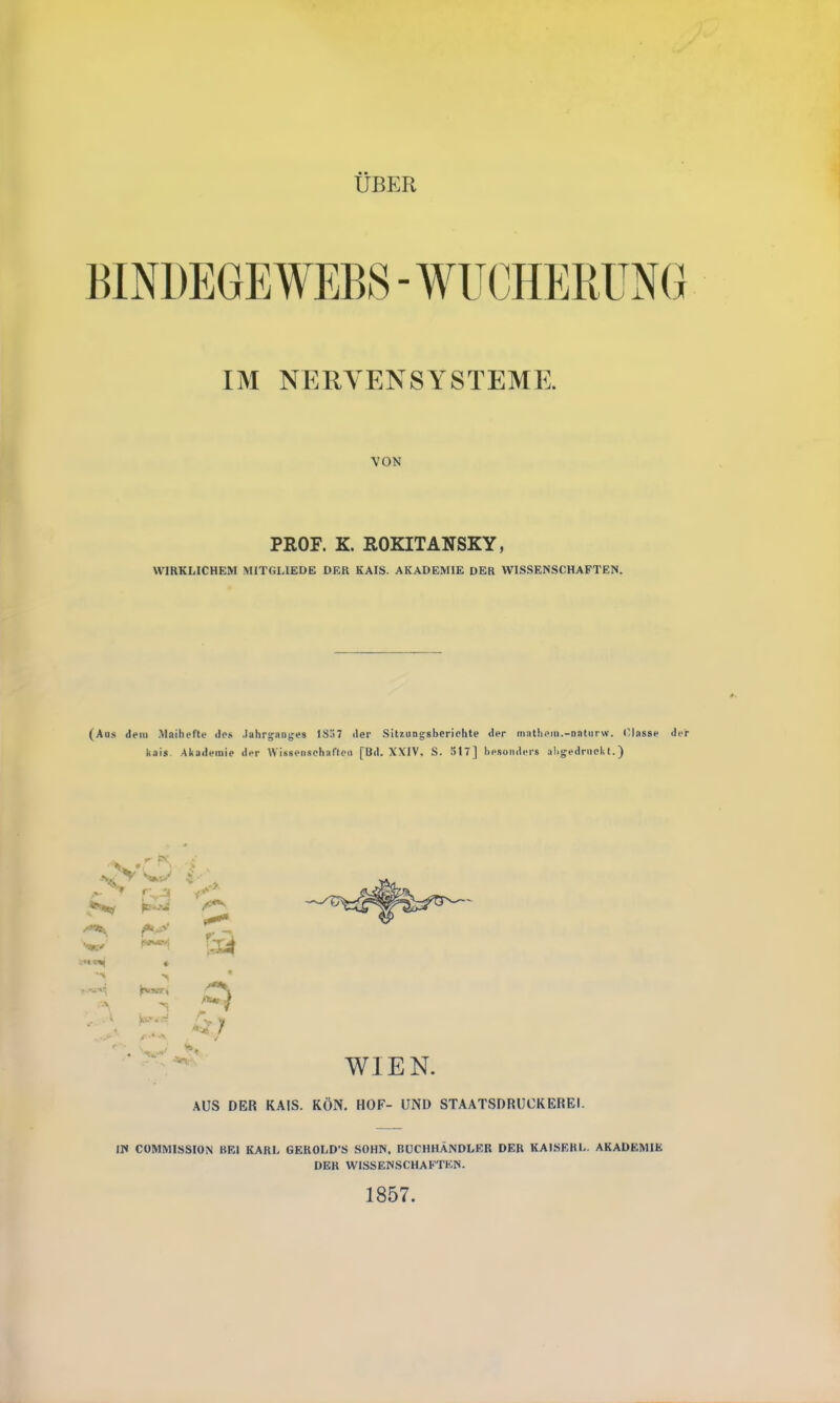 ÜBER BINDEGEWEBS - WOHERUM IM NERVENSYSTEME. VON PROF. K. ROKITANSKY, WIRKLICHEM MITGUEDE DER KAIS. AKADEMIE DER WISSENSCHAFTEN. (Aus dem Maihefte dos Jahrgänge« 1S.>7 <ler Sitzungsberichte der matheiu.-naturw. (lasse kais. Akademie der Wissenschaften fUil. XXIV. S. 5t7] besonders abgedruckt.) f. a * &3 Ü7 WIEN. AUS DER KAIS. KÖN. HOF- UND STAATSDRUCKEREI. IN COMMISSION BEI KAUI. GEROLD'S SOHN, BUCHHÄNDLER DER KAISERI.. AKADEMIE DER WISSENSCHAFTEN. 1857.