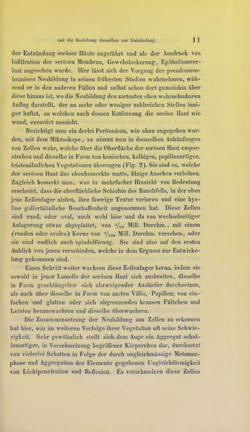 der Entzündung seröser Häute angeführt und als der Ausdruck von Infiltration der serösen Membran, Gewebslockerung, Epitheliumver- lust angesehen wurde. Hier lässt sieh der Vorgang der pseudomem- branösen Neubildung in seinen frühesten Stadien wahrnehmen, wäh- rend er in den anderen Fällen und seihst schon dort gemeinhin über diese hinaus ist, wo die Neubildung den zartesten eben wahrnehmbaren Anflug darstellt, der an mehr oder weniger zahlreichen Stellen inni- ger haftet, an welchen nach dessen Entfernung die seröse Haut wie wund, excoriirt aussieht. Besichtigt man ein derlei Peritonäum, wie oben angegeben wor- den, mit dem Mikroskope, so nimmt man in demselben Anhäufungen von Zellen wahr, welche über die Oberfläche der serösen Haut empor- streben und dieselbe in Form von konischen, kolbigen, papillenartigen, leistenähnlichen Vegetationen überragen (Fig. 2). Sie sind es, welche der serösen Haut das obenbemerkte matte, filzige Ansehen verleihen. Zugleich bemerkt man. was in mehrfacher Hinsicht von Bedeutung erscheint, dass die oberflächliche Schichte des Bauchfells, in der eben jene Zellenlager nisten, ihre faserige Textur verloren und eine hya- line gallertähnliche Beschaffenheit angenommen hat. Diese Zellen sind rund, oder oval, auch wohl hier und da von wechselseitiger Anlagerung etwas abgeplattet, von J/50 Mill. Durchm., mit einem (runden oder ovalen) Kerne von Mill. Durchm. versehen, oder sie sind endlich auch spindelförmig. Sie sind also auf den ersten Anblick von jenen verschieden, welche in dem Ergüsse zur Entwicke- lung gekommen sind. Einen Schritt weiter wachsen diese Zellenlager heran, indem sie sowohl in jener Lamelle der serösen Haut sich ausbreiten, dieselbe in Form geschlängelter sich abzweigender Ausläufer durchsetzen, als auch über dieselbe in Form von zarten Villis, Papillen, von ein- fachen und glatten oder sich abgrenzenden krausen Fältchen und Leisten herauswachsen und dieselbe überwuchern. Die Zusammensetzung der Neubildung aus Zellen zu erkennen hat hier, wie im weiteren Verfolge ihrer Vegetation oft seine Schwie- rigkeit. Sehr gewöhnlich stellt sich dem Auge ein Aggregat schol- lenartiger, in Verschmelzung begriffener Körperchen dar, durchsetzt von vielerlei Schatten in Folge der durch ungleichmässige Metamor- phose und Aggregation der Elemente gegebenen Ungleichförmigkeit von Lichtpenetration und Reflexion. Es verschmelzen diese Zellen
