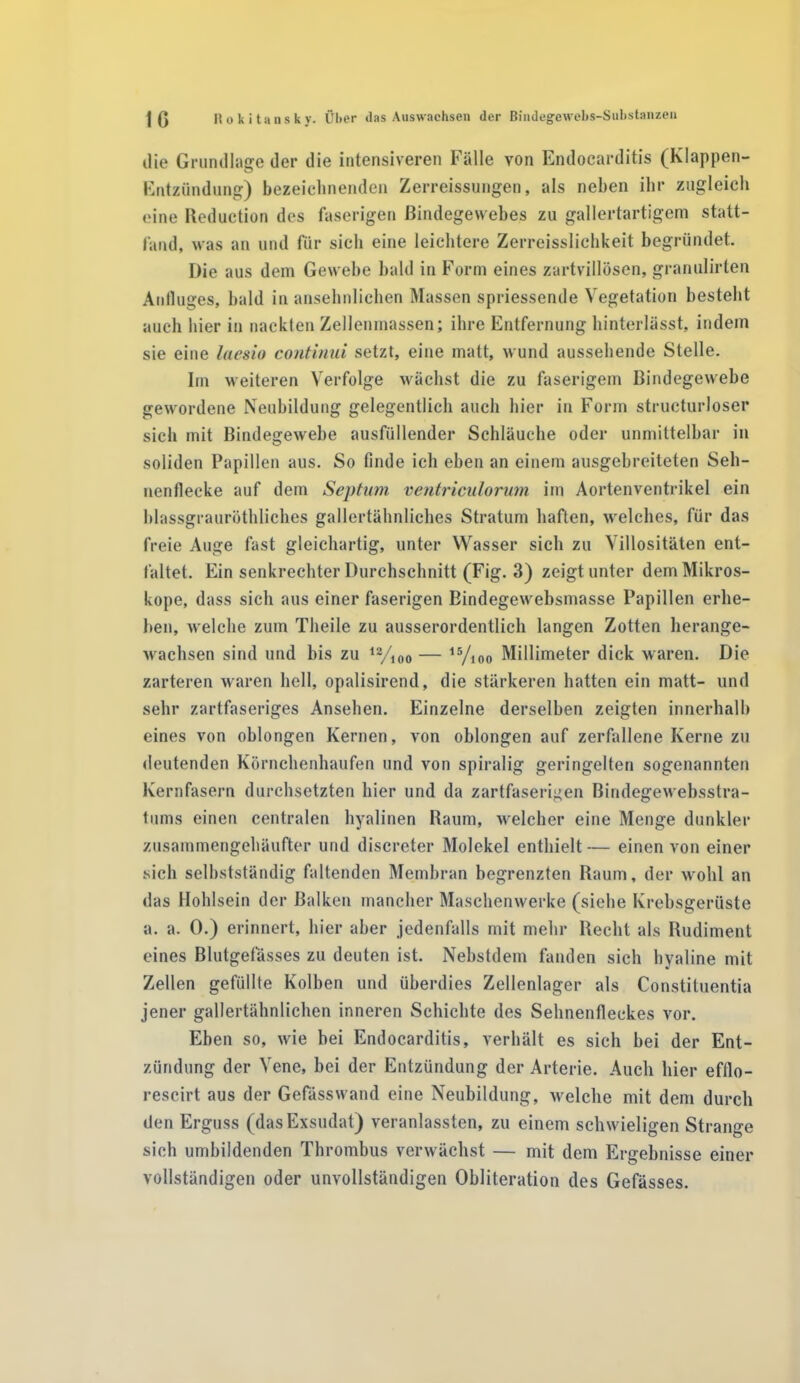 tlie Grundlage der die intensiveren Fälle von Endocarditis (Klappen- Entzündung) bezeichnenden Zerreissungen, als neben ihr zugleich eine Reduction des faserigen Bindegewebes zu gallertartigem statt- fand, was an und für sich eine leichtere Zerreisslichkeit begründet. Die aus dem Gewebe bald in Form eines zartvillösen, granulirten Anfluges, bald in ansehnlichen Massen spriessende Vegetation besteht auch hier in nackten Zellenmassen; ihre Entfernung hinterlässt, indem sie eine laesio continid setzt, eine matt, wund aussehende Stelle. Im weiteren Verfolge wächst die zu faserigem Bindegewebe gewordene Neubildung gelegentlich auch hier in Form structurloser sich mit Bindegewebe ausfüllender Schläuche oder unmittelbar in soliden Papillen aus. So finde ich eben an einem ausgebreiteten Seh- nenflecke auf dem Septum ventriculorum im Aortenventrikel ein blassgrauröthliches gallertähnliches Stratum haften, welches, für das freie Auge fast gleichartig, unter Wasser sich zu Villositäten ent- faltet. Ein senkrechter Durchschnitt (Fig. 3) zeigt unter dem Mikros- kope, dass sich aus einer faserigen Bindegewebsmasse Papillen erhe- llen, welche zum Theile zu ausserordentlich langen Zotten herange- wachsen sind und bis zu 12/100 — 15/ioo Millimeter dick waren. Die zarteren waren hell, opalisirend, die stärkeren hatten ein matt- und sehr zartfaseriges Ansehen. Einzelne derselben zeigten innerhalb eines von oblongen Kernen, von oblongen auf zerfallene Kerne zu deutenden Körnchenhaufen und von spiralig geringelten sogenannten Kernfasern durchsetzten hier und da zartfaserigen Biridegewebsstra- tums einen centralen hyalinen Raum, welcher eine Menge dunkler zusammengehäufter und discreter Molekel enthielt— einen von einer sich selbstständig faltenden Membran begrenzten Raum, der wohl an das Holdsein der Balken mancher Maschenwerke (siche Krebsgerüste a. a. 0.) erinnert, hier aber jedenfalls mit mehr Recht als Rudiment eines Blutgefässes zu deuten ist. Nebstdem fanden sich hyaline mit Zellen gefüllte Kolben und überdies Zellenlager als Constituentia jener gallertähnlichen inneren Schichte des Sehnenfleckes vor. Eben so, wie bei Endocarditis, verhält es sich bei der Ent- zündung der Vene, bei der Entzündung der Arterie. Auch hier efllo- reseirt aus der Gefässwand eine Neubildung, welche mit dem durch den Erguss (das Exsudat) veranlassten, zu einem schwieligen Strange sich umbildenden Thrombus verwächst — mit dem Ergebnisse einer vollständigen oder unvollständigen Obliteration des Gefässes.